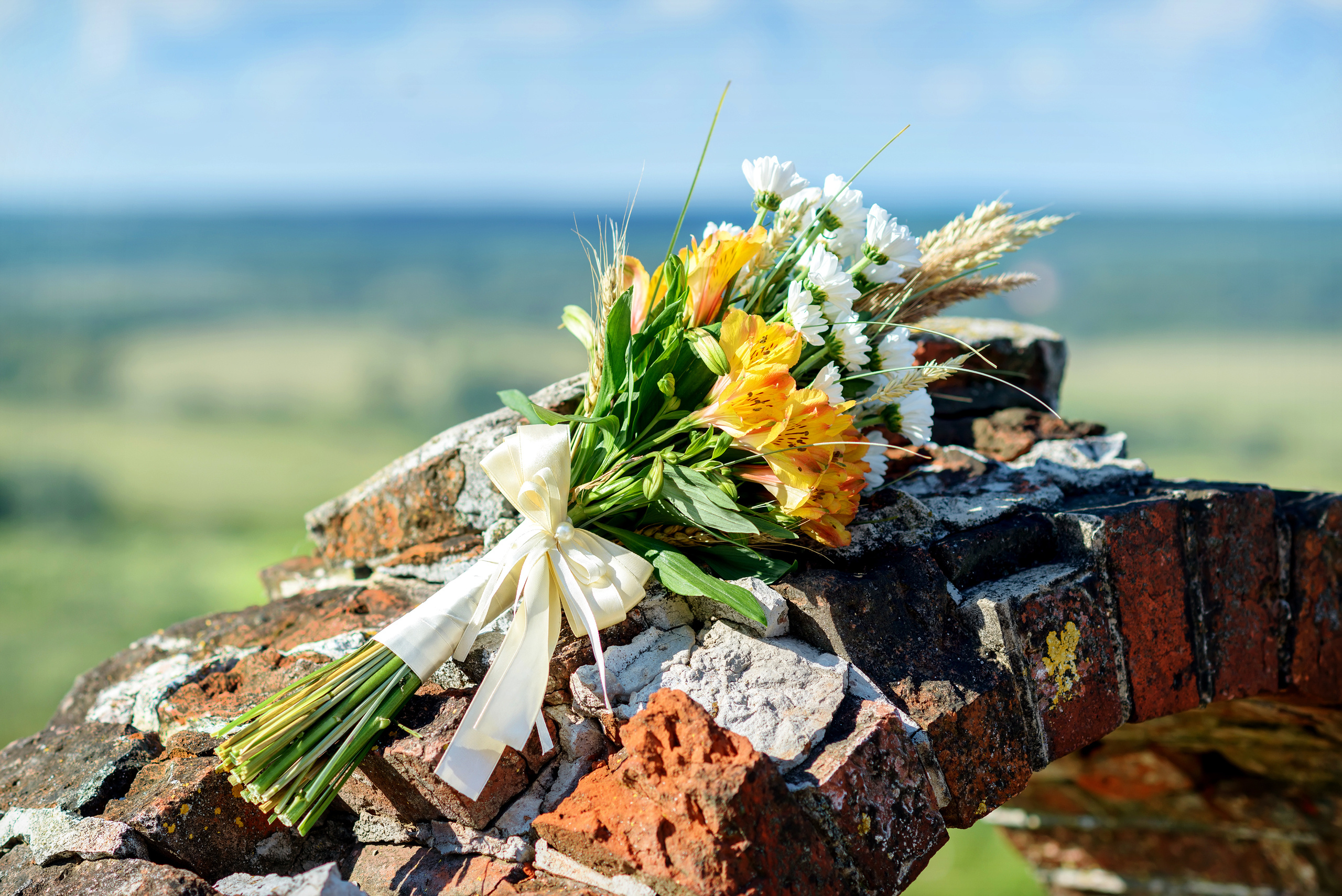 Свадебная фотосессия в усадьбе Приклонских Рукавишниковых