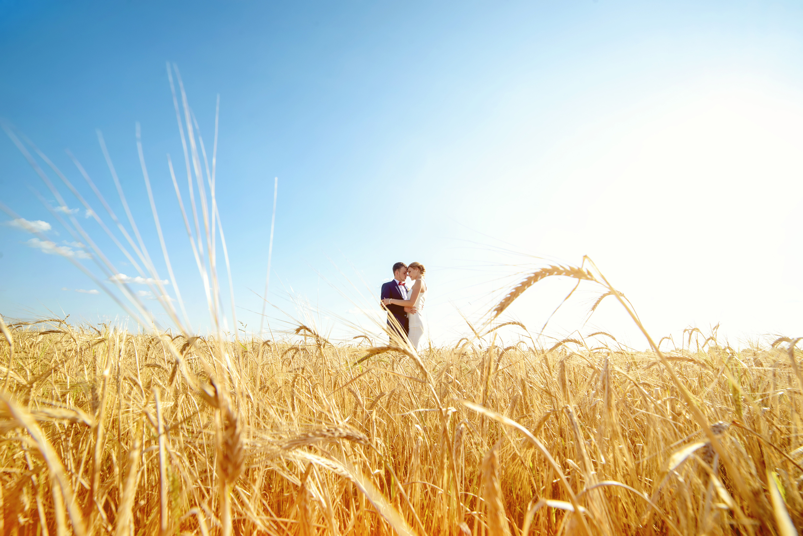 Свадебная фотосессия в поле