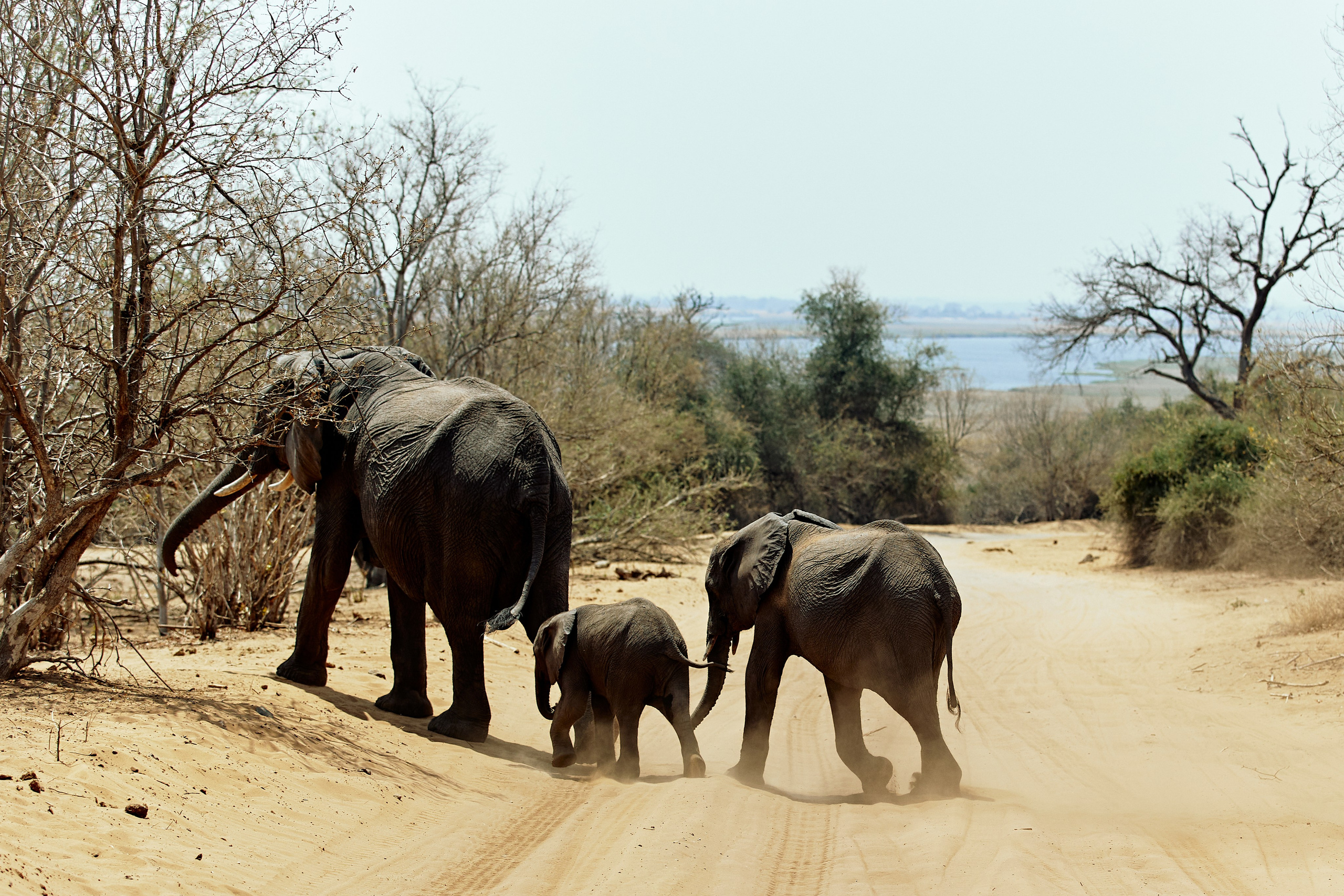 SOUTH AFRICA EMBA 38. Дмитрий Мазуркевич: Профессиональный Репортажный Фотограф