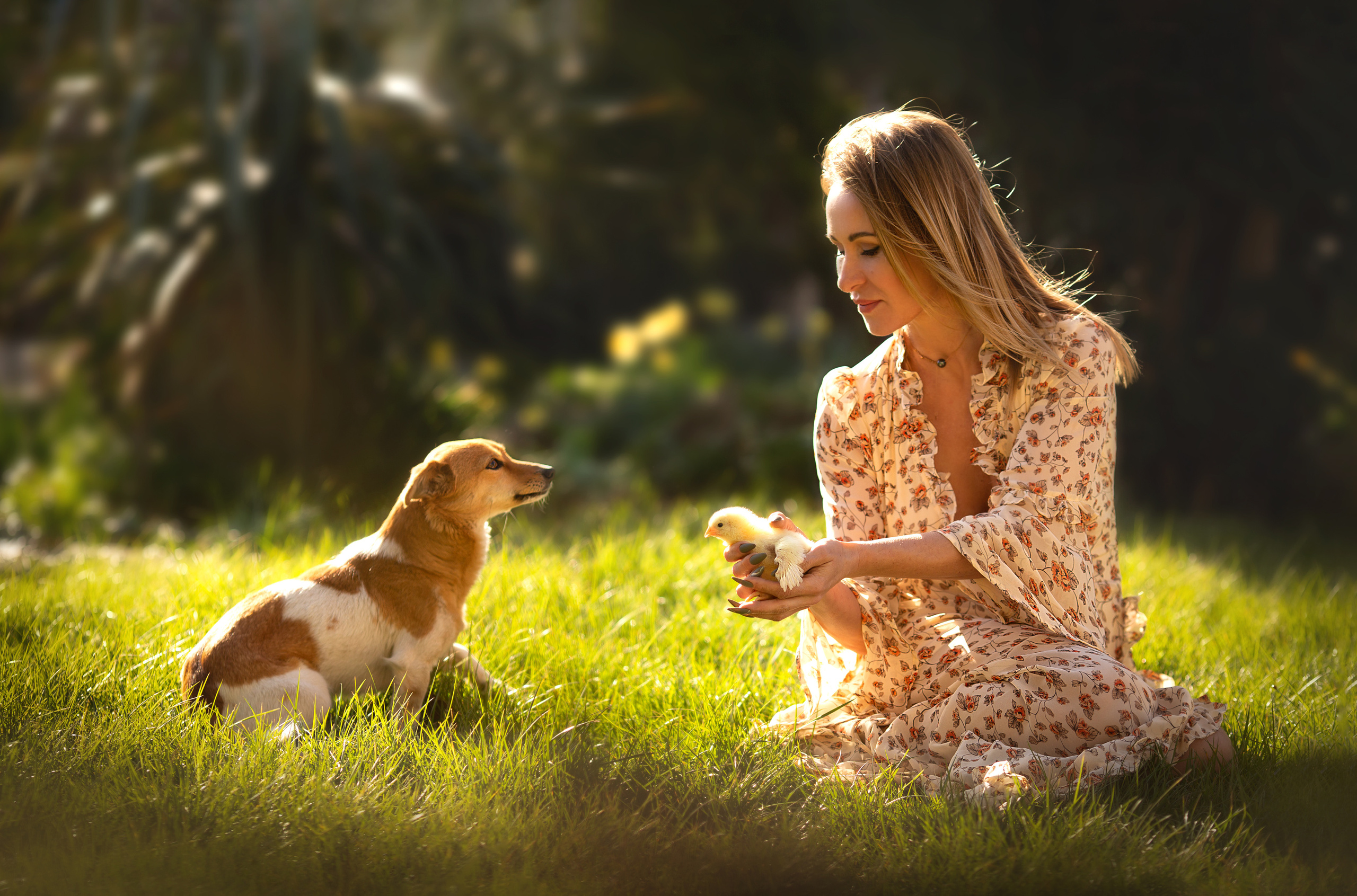 Индивидуальные фотосессии. Семейный и детский фотограф Ansi Bay