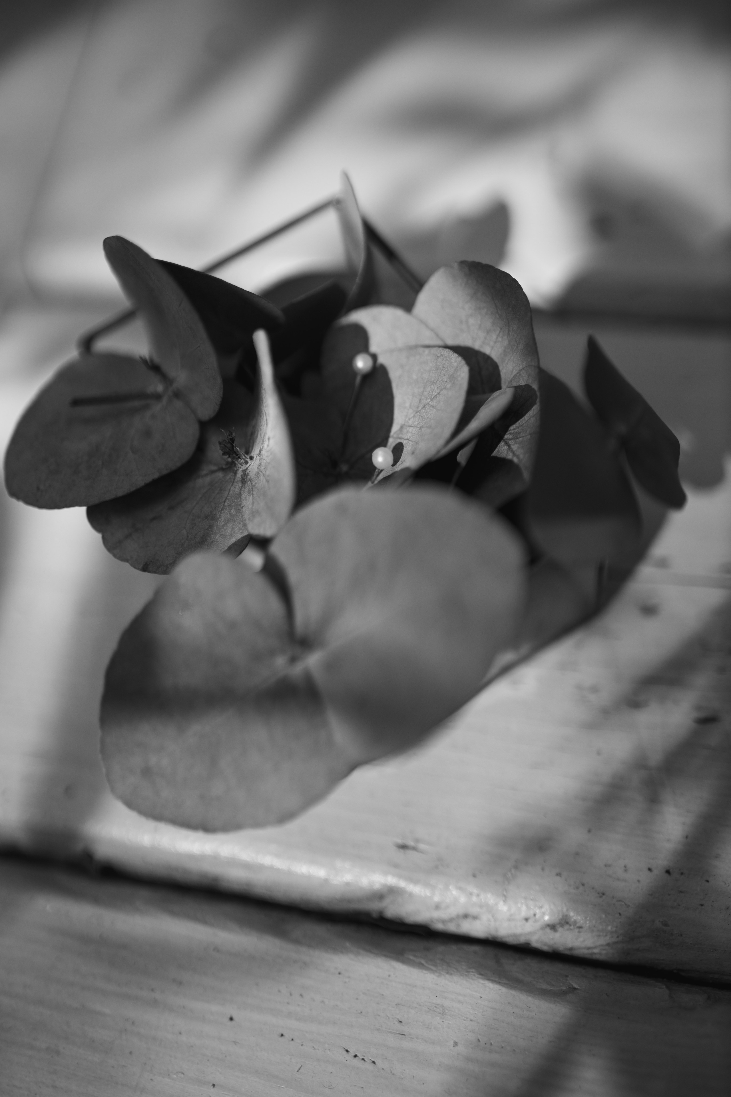 УСАДЬБА ГАНКА. Cheta Kovalevsky фотографы