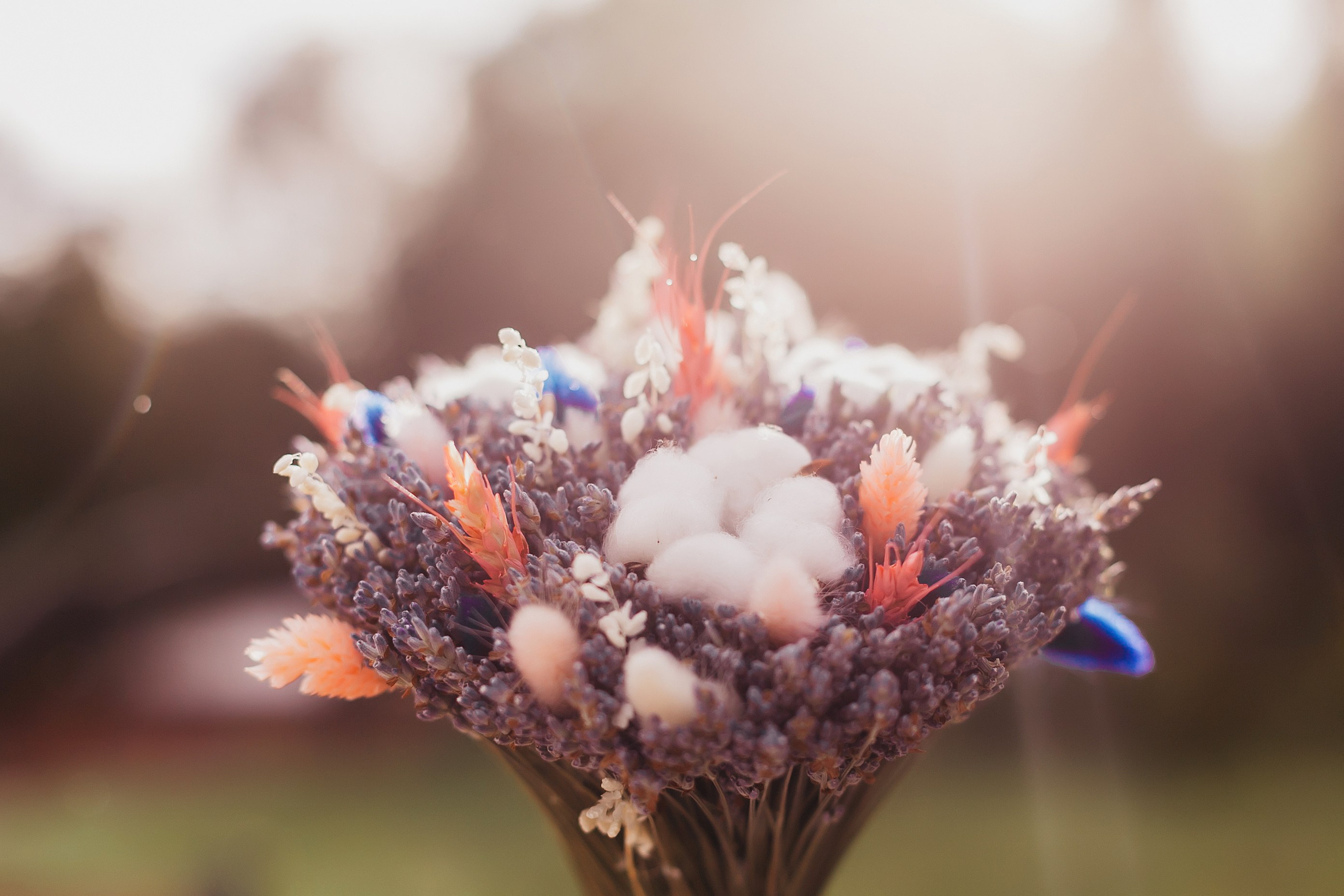 Прогулка в парке, ресторан. Визуал для эспертов и блогеров