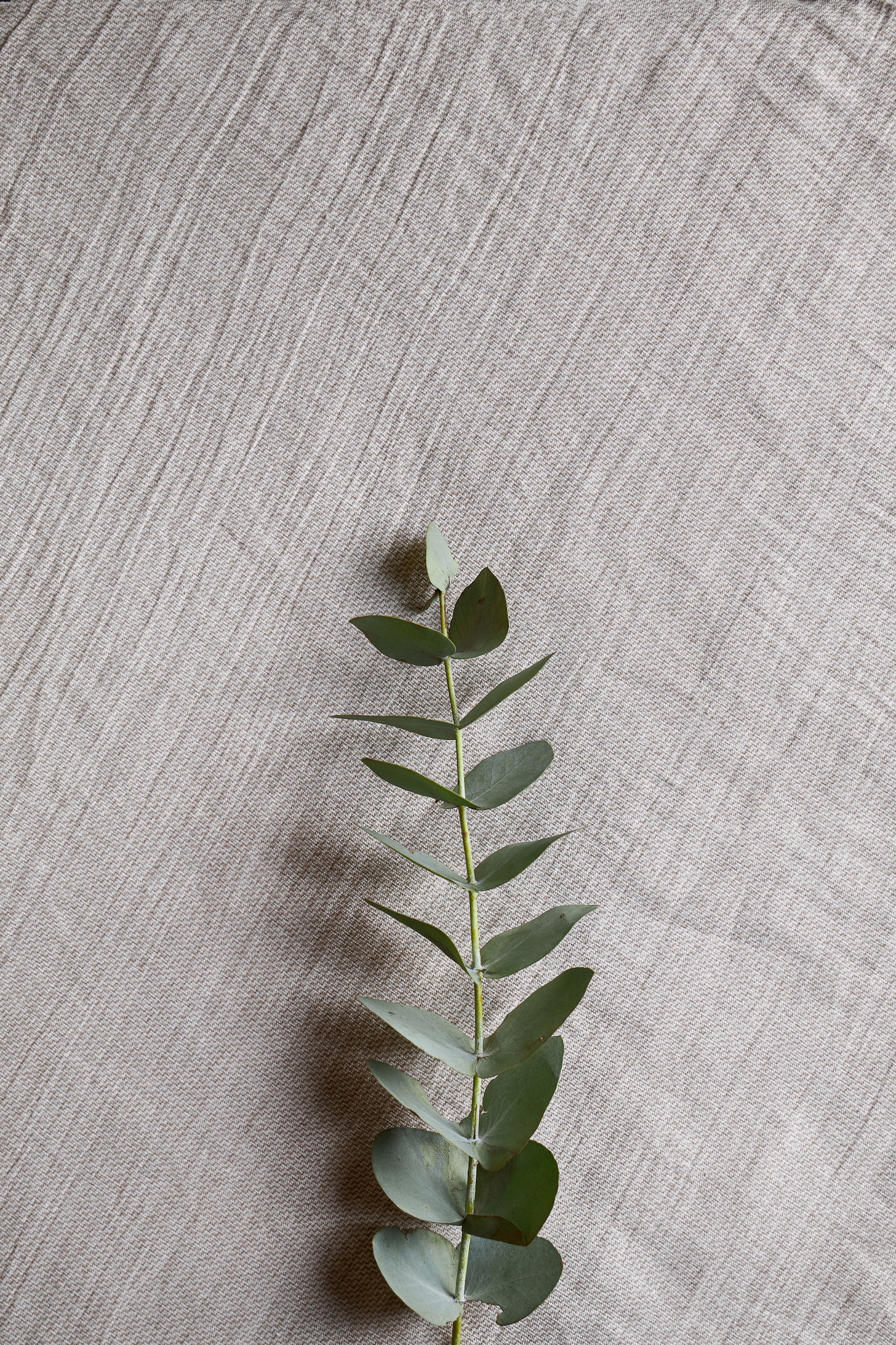 Яркий и красочный снимок, который вызывает желание попробовать это блюдо, а потом вернуться за добавкой