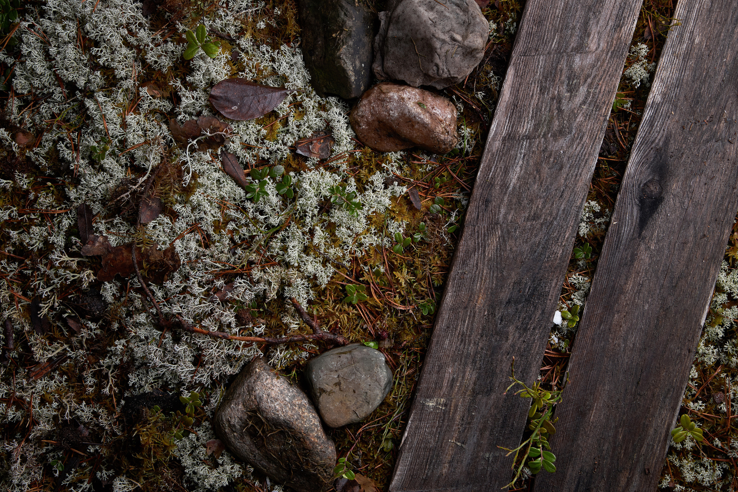 Фуд фотосъемка, фудфотосъемка. Фуд — предметный фотограф в Москве