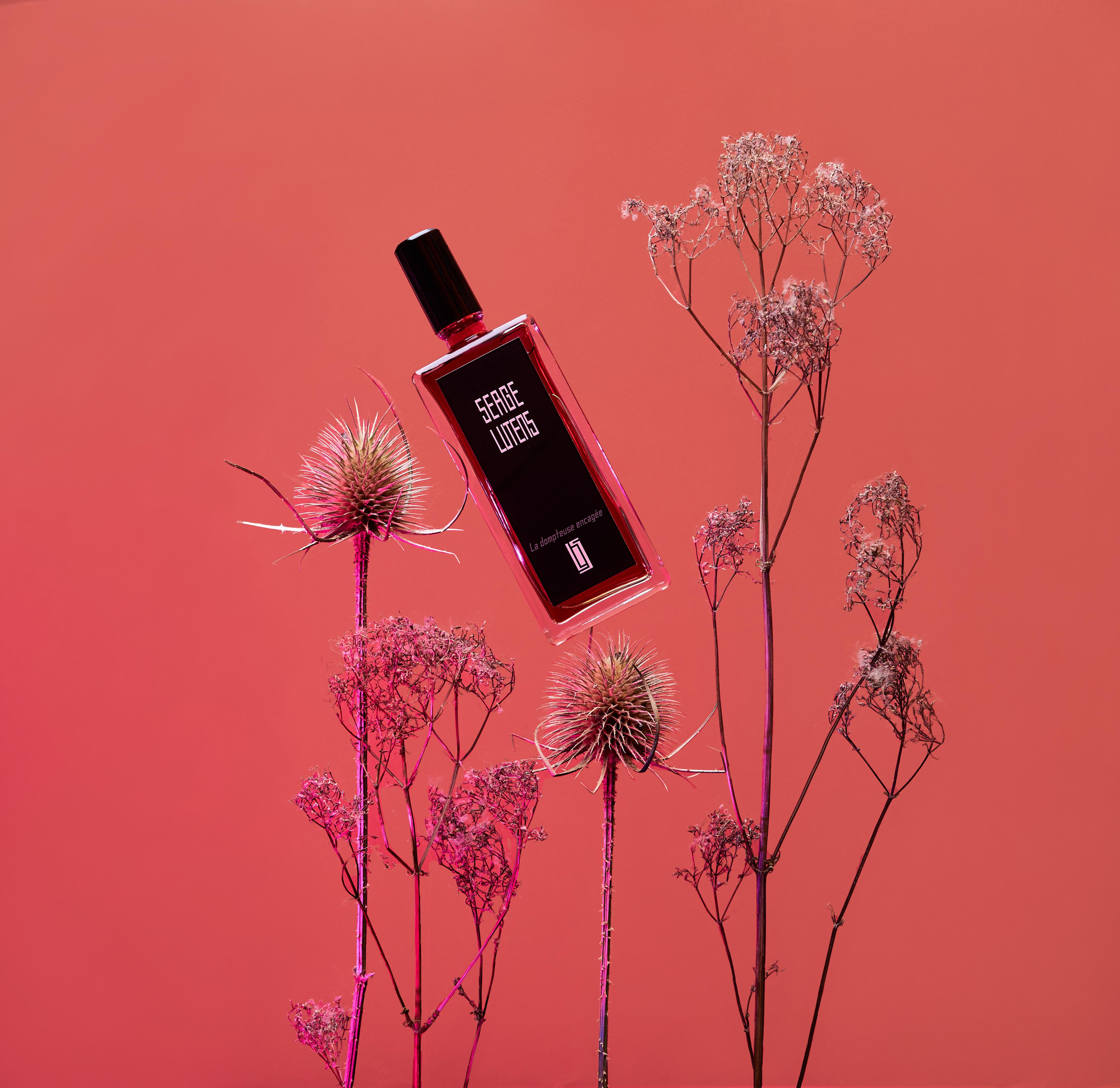 Предметная фотосъемка. Фуд — предметный фотограф в Москве