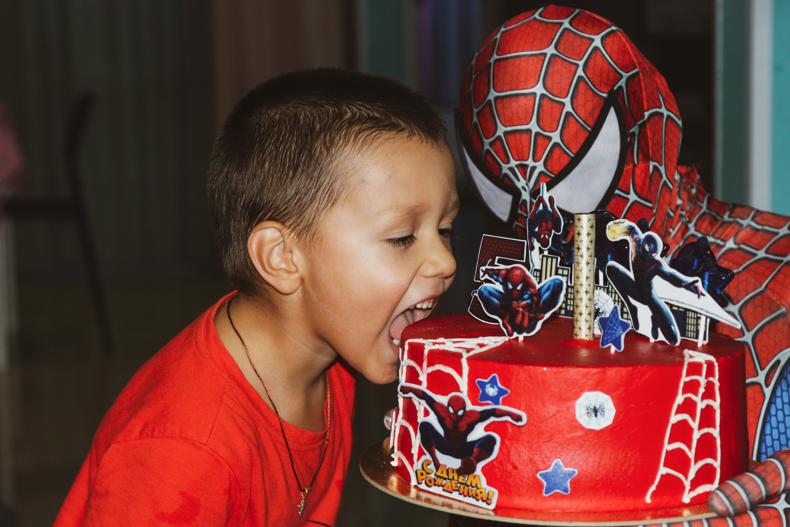 Детское день рождения. Алиса Томшина — Фотограф / Видеограф