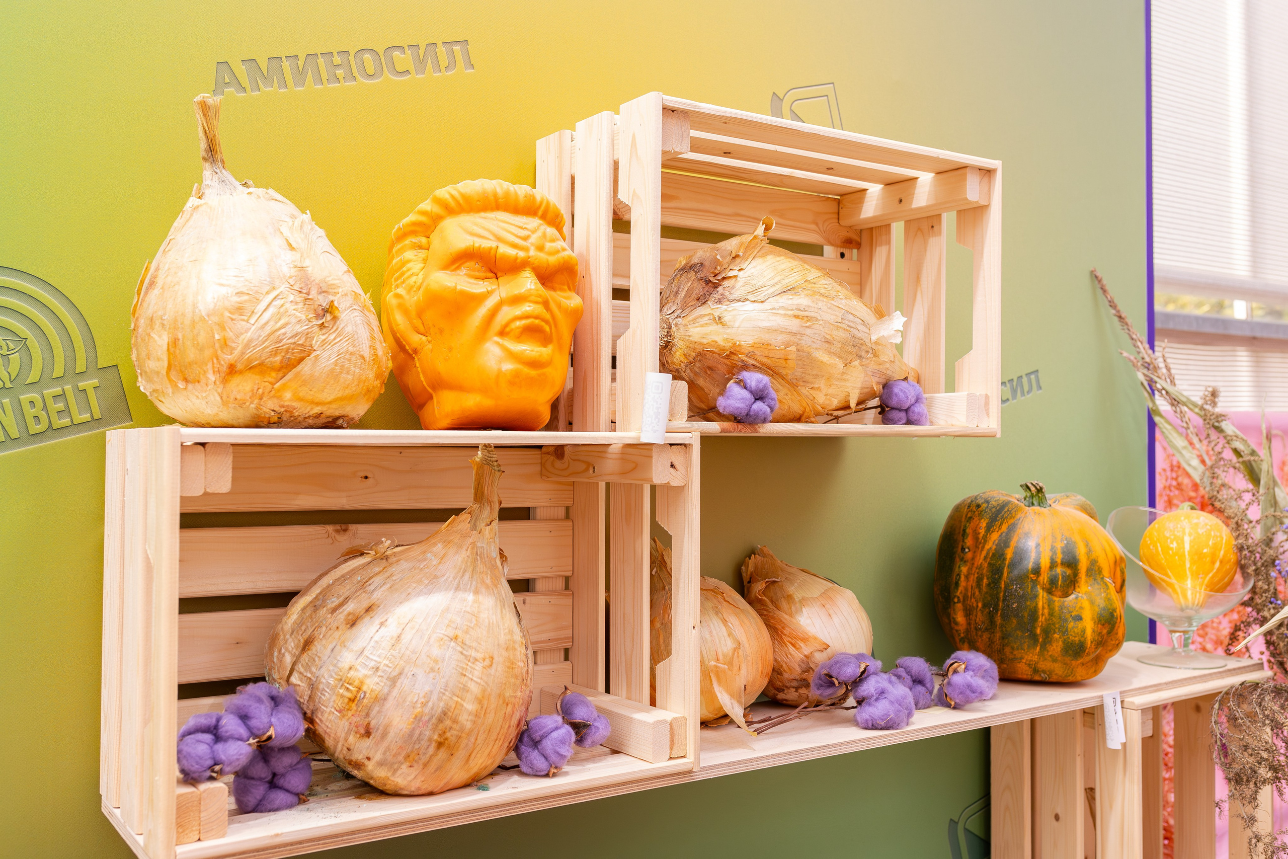 Овощи-гиганты. Александра Куликова фотограф, Москва