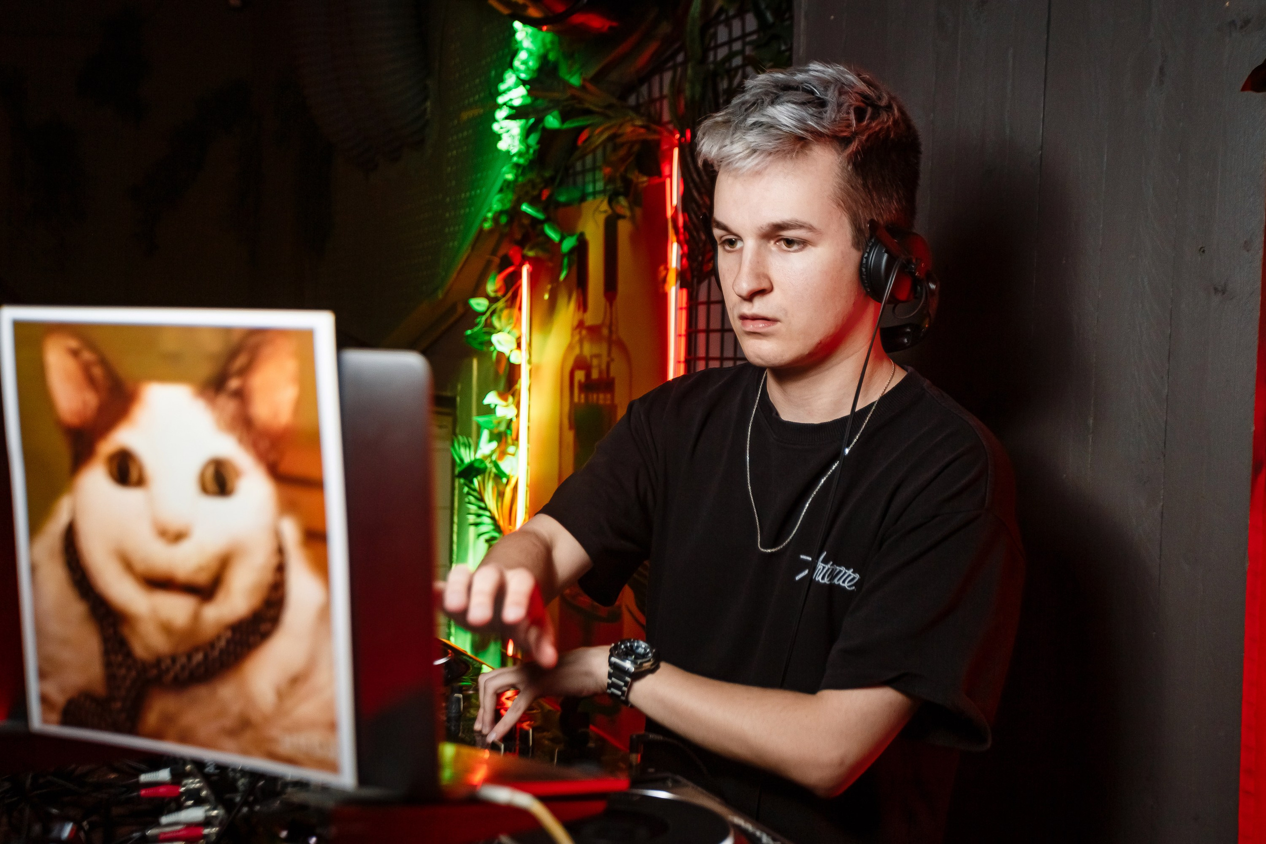 Tortuga_Lambriq_part.2_Симферополь_23.11.2024. Аминов Руслан | Фотограф