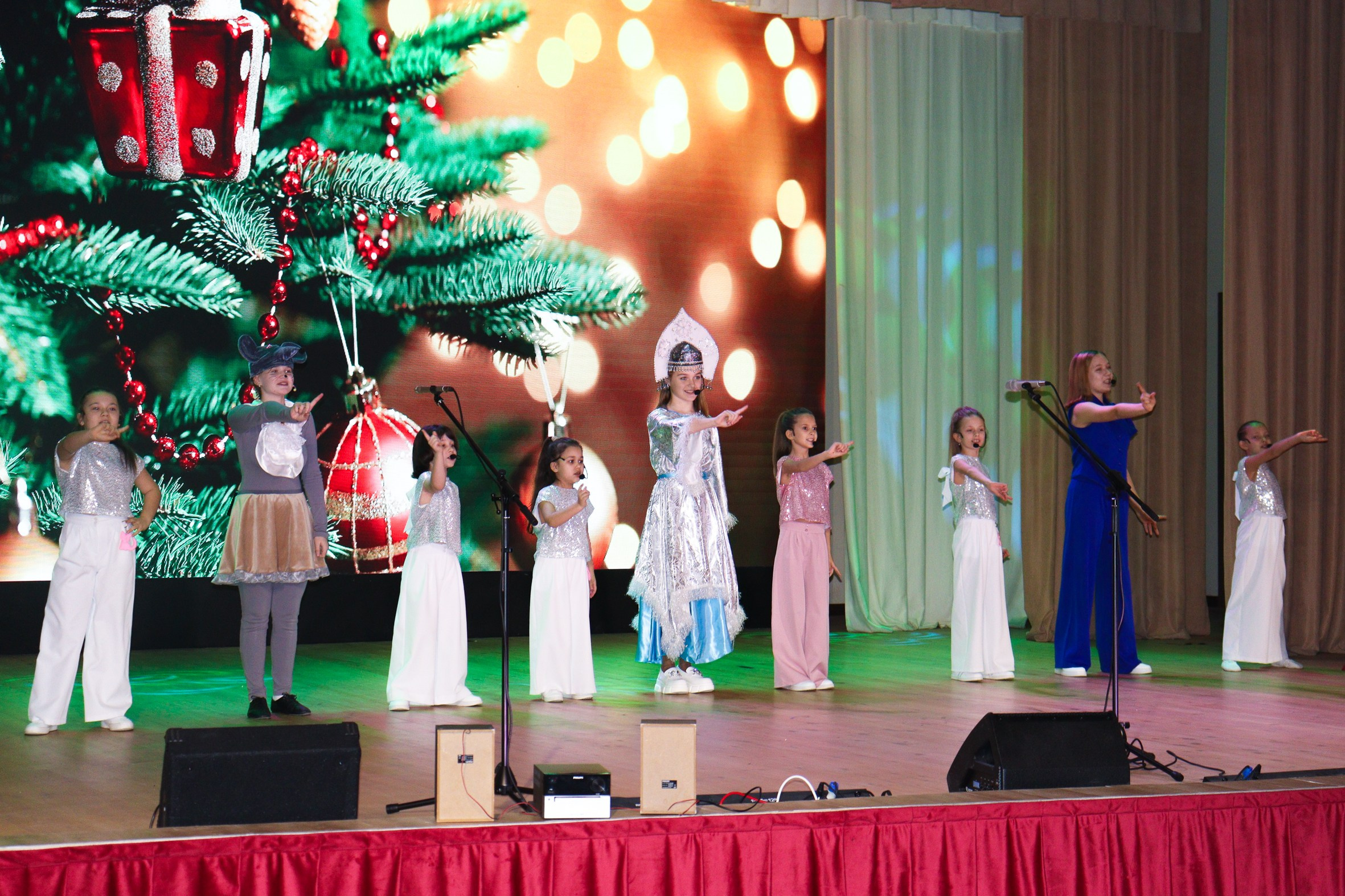 Новогодний концерт Шишли-Мышли