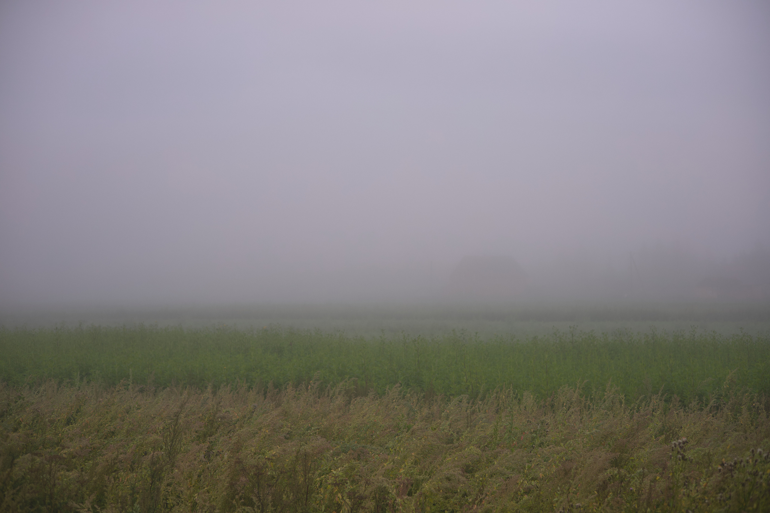 Marina Kuzmina is a photography and video artist