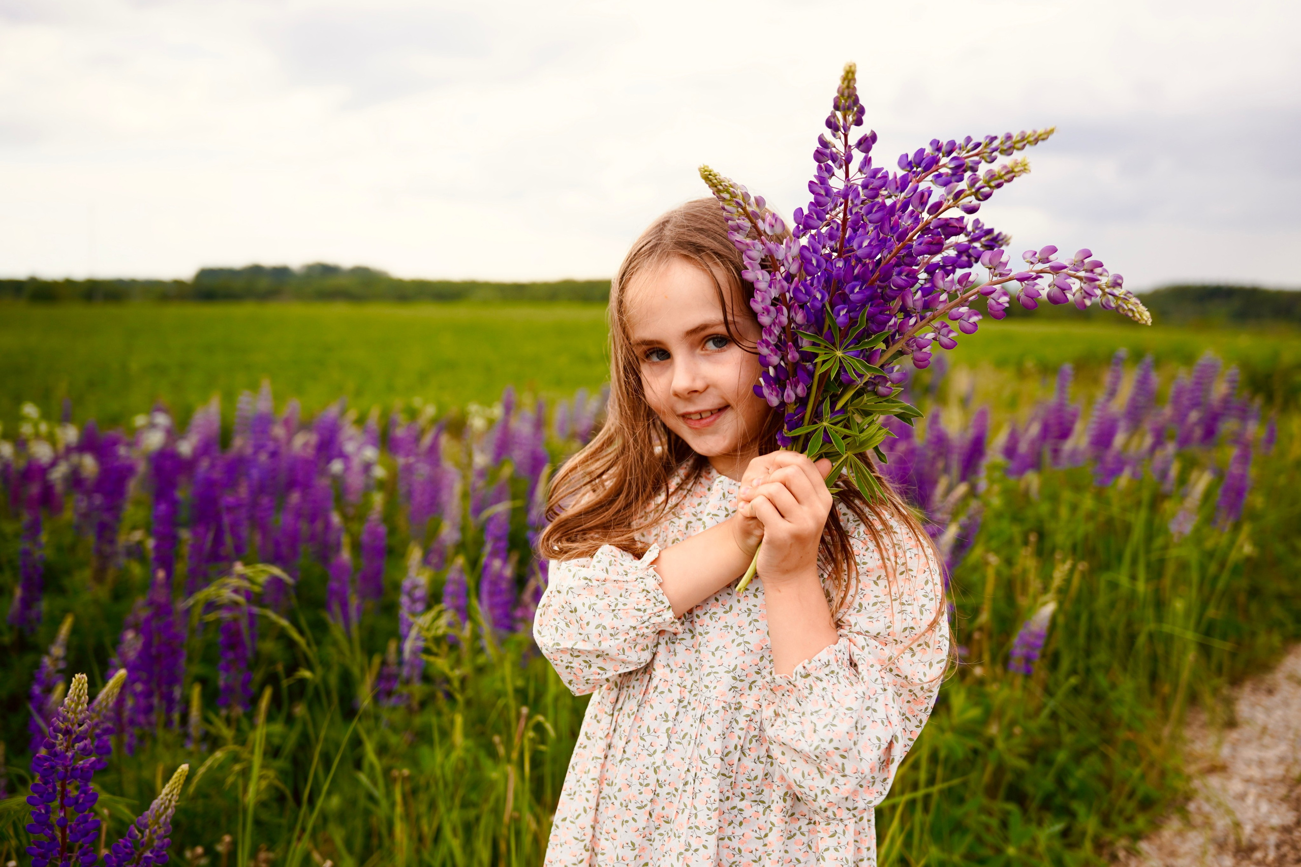 Когда цветут люпины. Семейный и детский фотограф Александра Гвоздикова