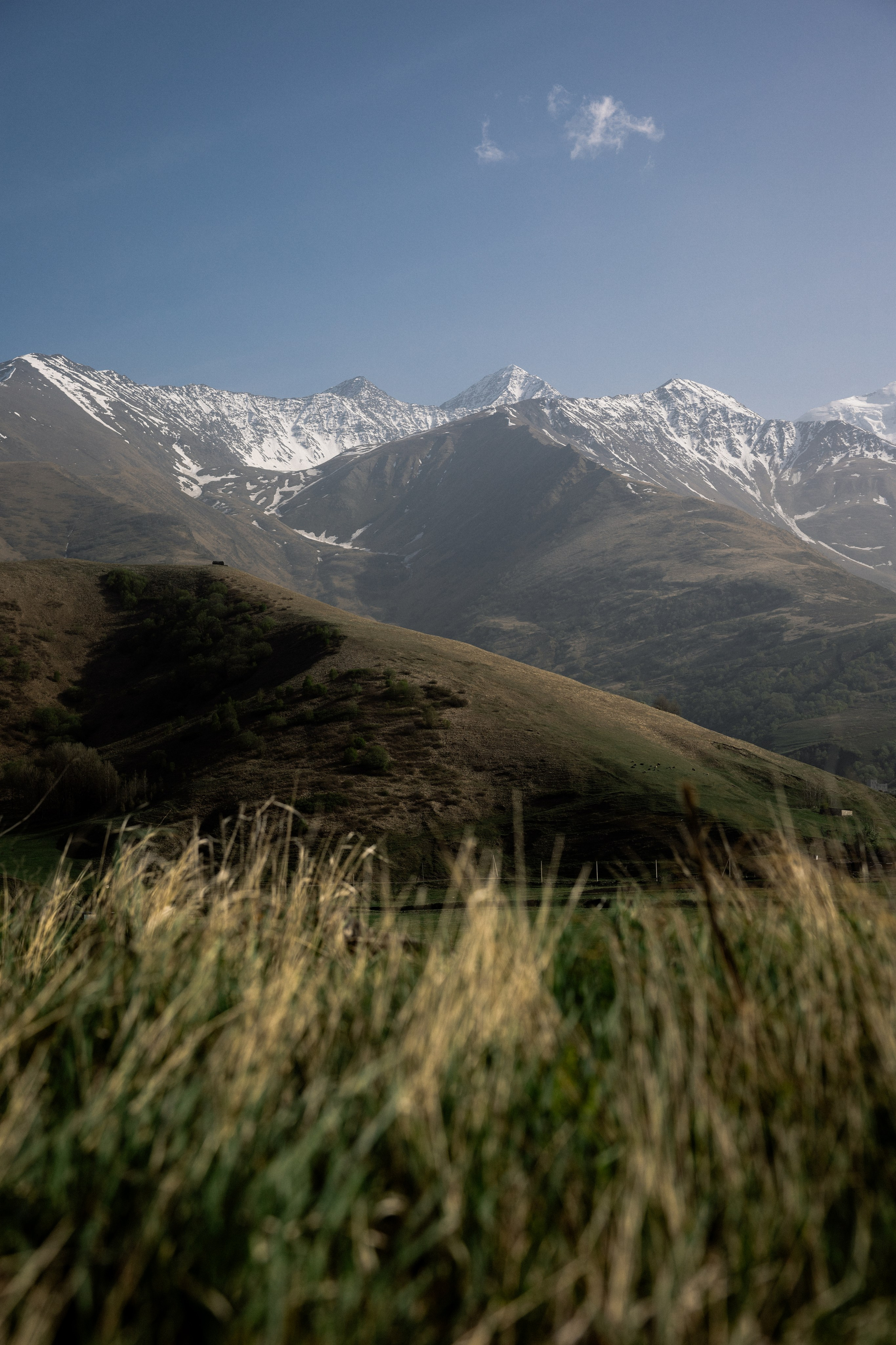 Тур, Осетия. Фотограф Эдуарда Титанян