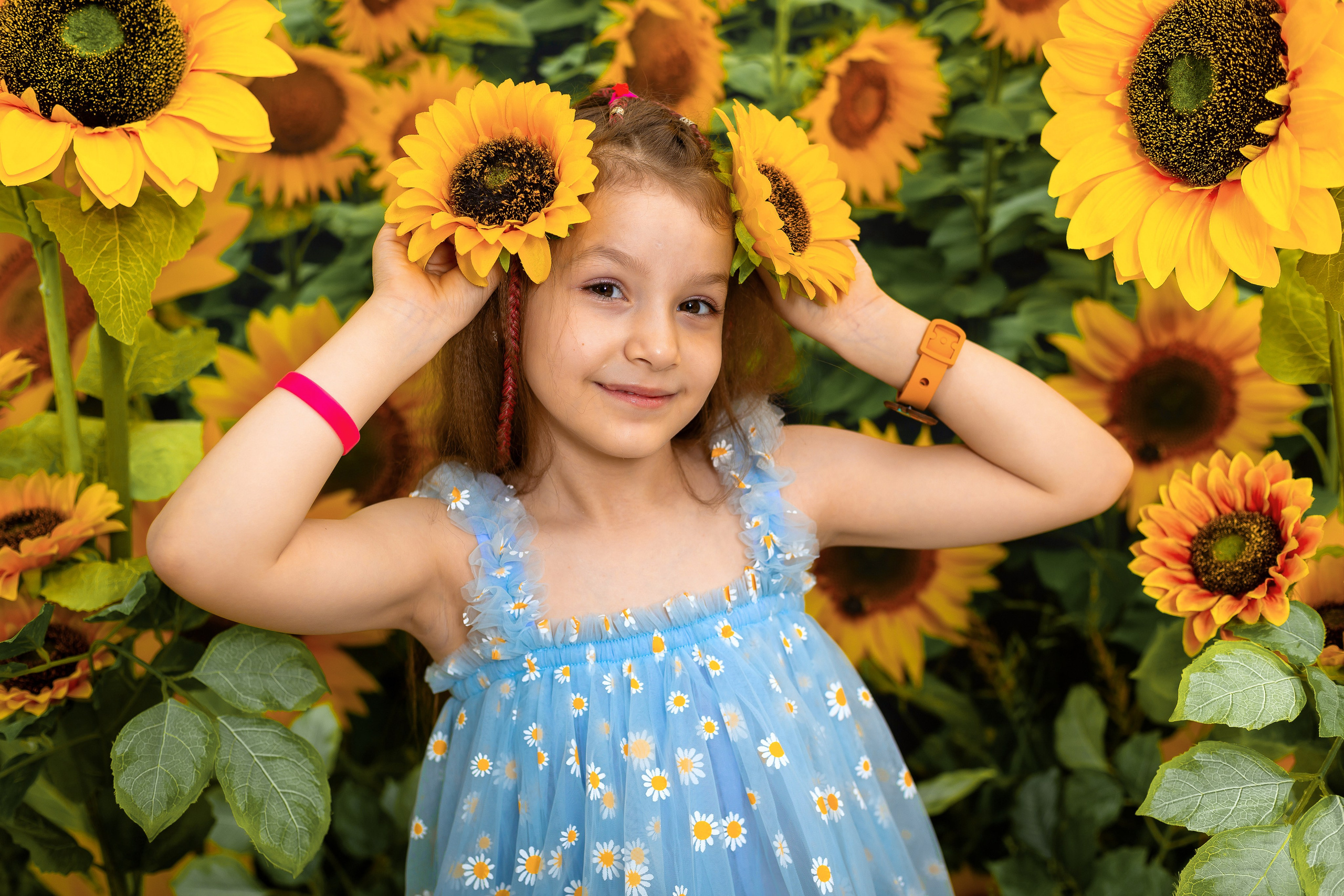 Огромные подсолнухи