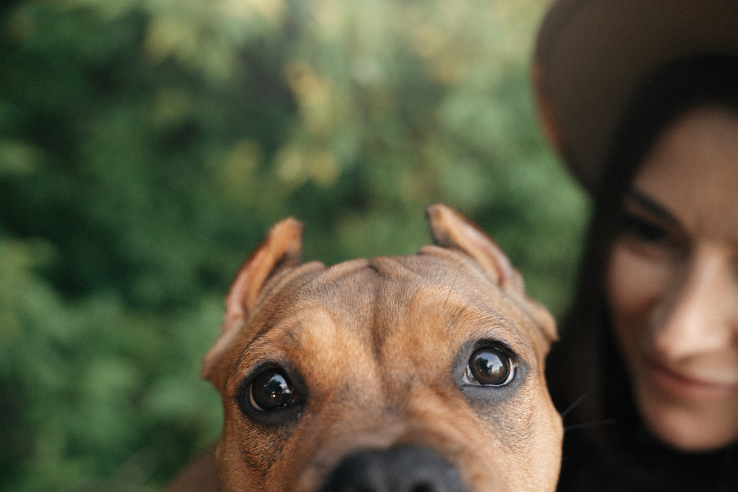 Кристина и Эфи. Фотограф анималист в Москве и Санкт-Петербурге Свиридова Анна