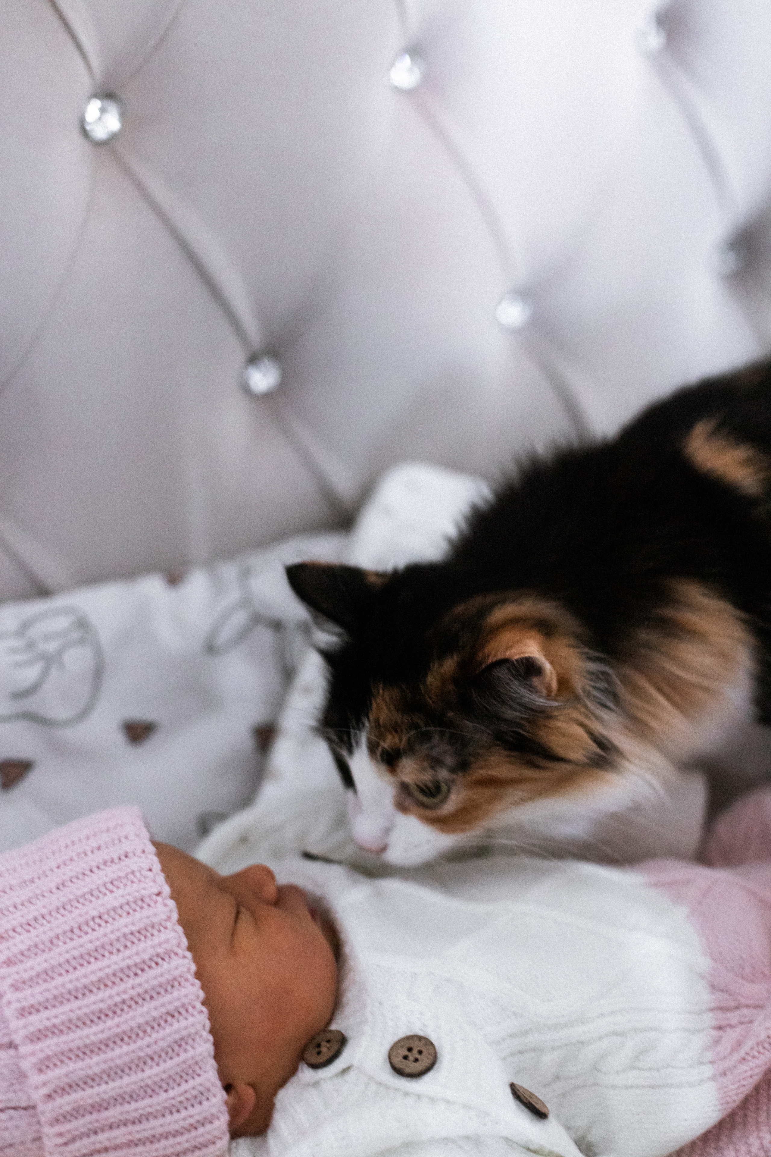 Выписка Лианы. Семейный и детский фотограф в Нижнем Новгороде Буслаева Мария