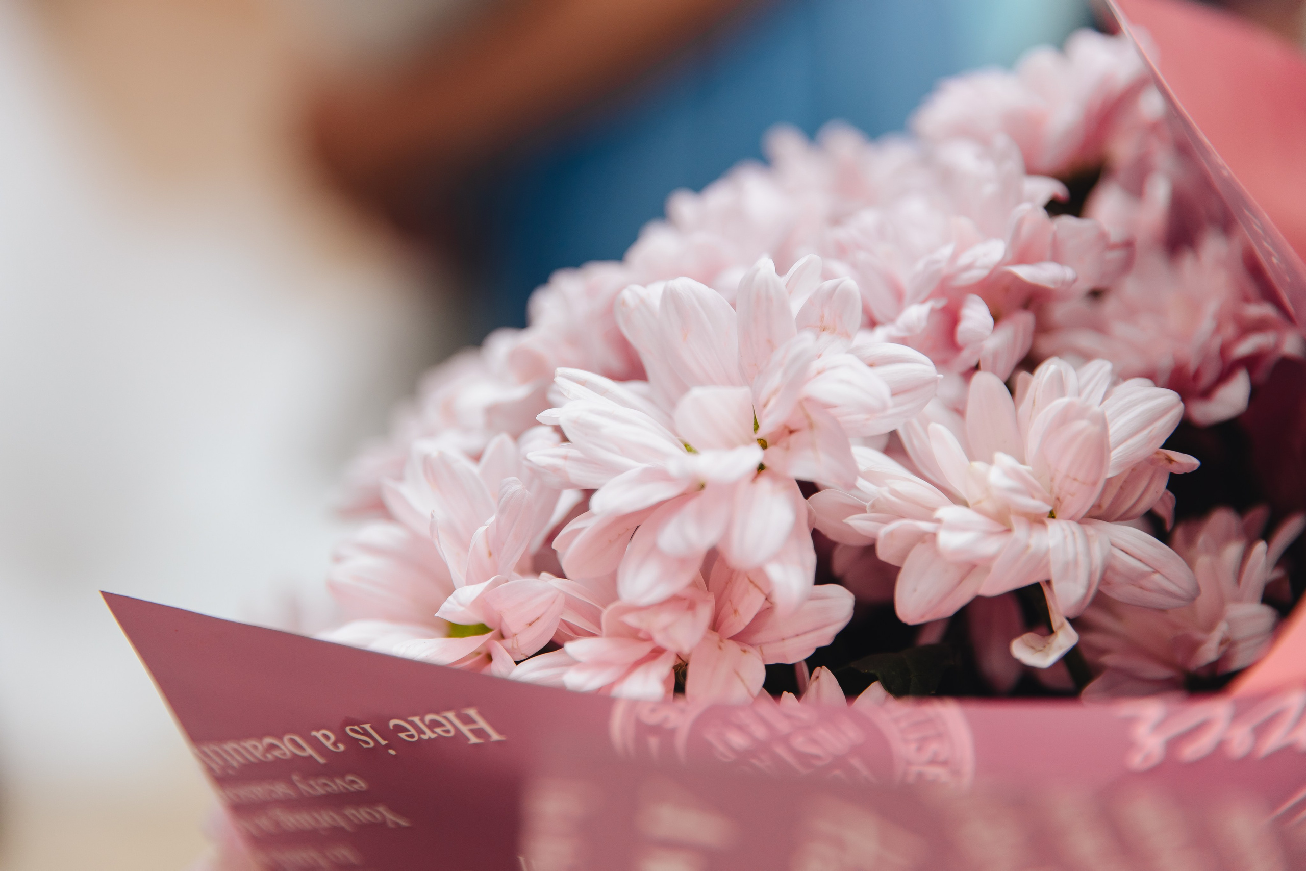 Семен и Алена. Свадебный и семейный фотограф в Туле и области Маша Костина