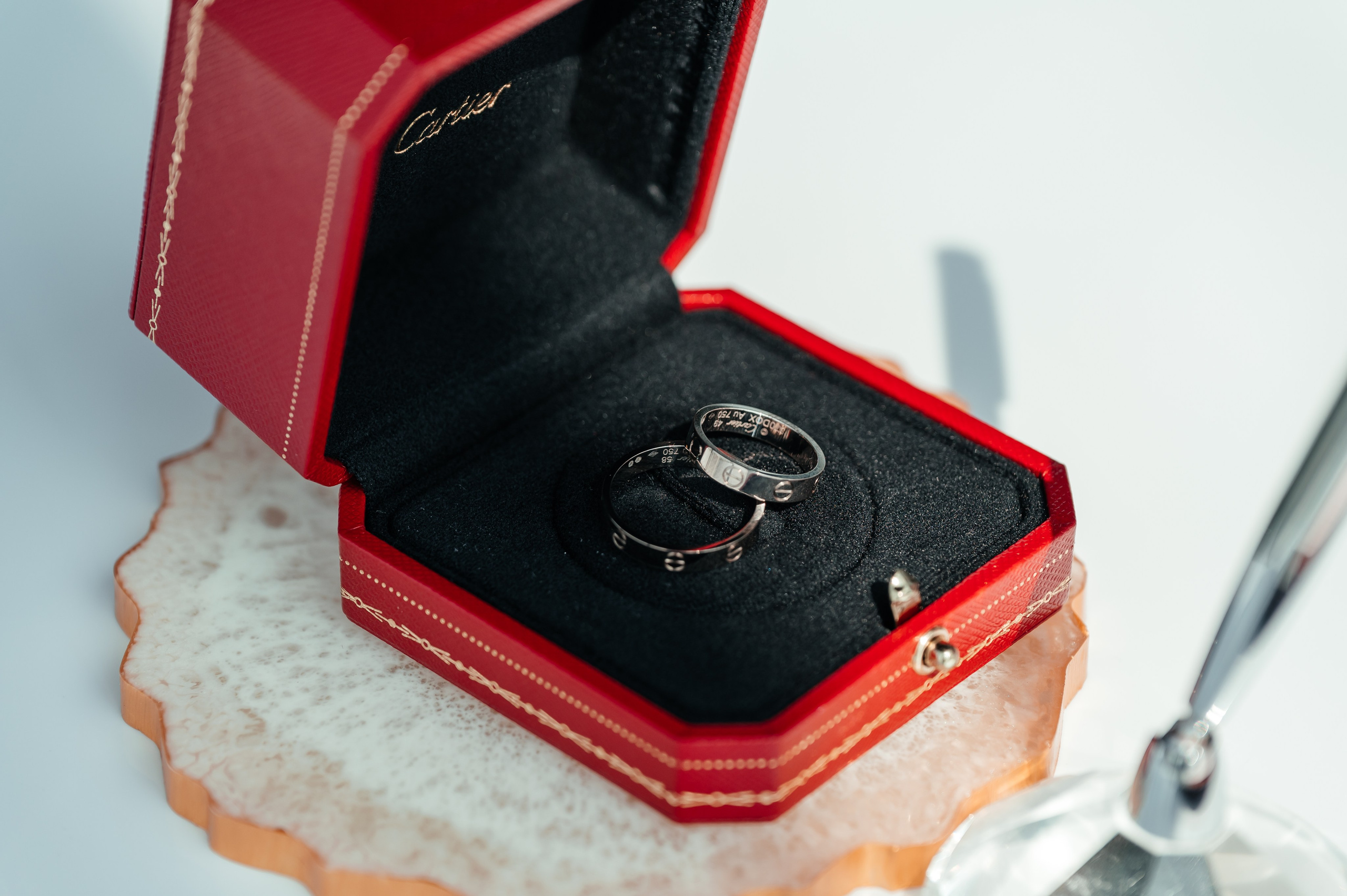 Свадьба Панорама 360. Портретный фотограф Москва Светлана Кашура