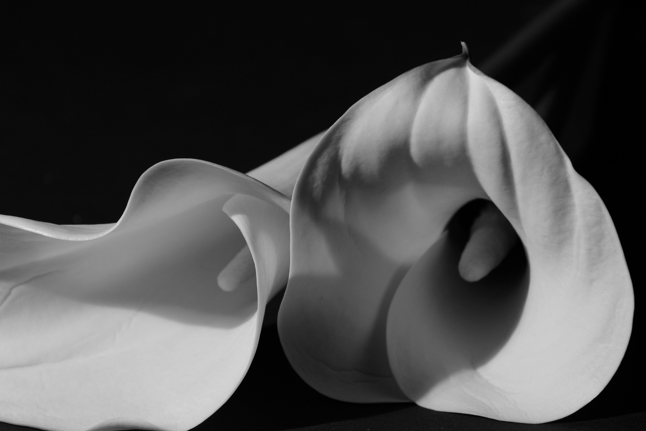 Портретный фотограф из Петербурга