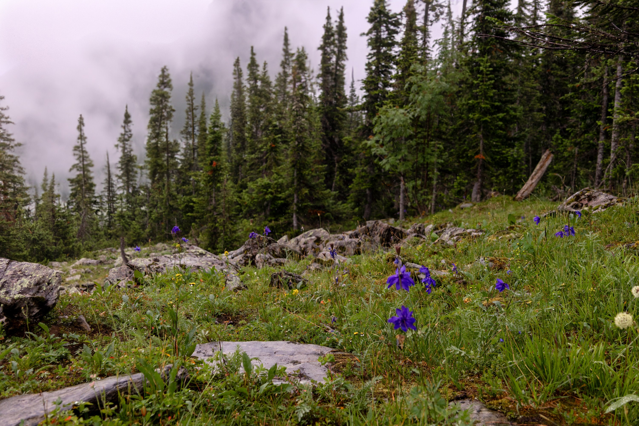 Ергаки. Семейный и детский фотограф в Красноярске, Дивногорцева Светлана