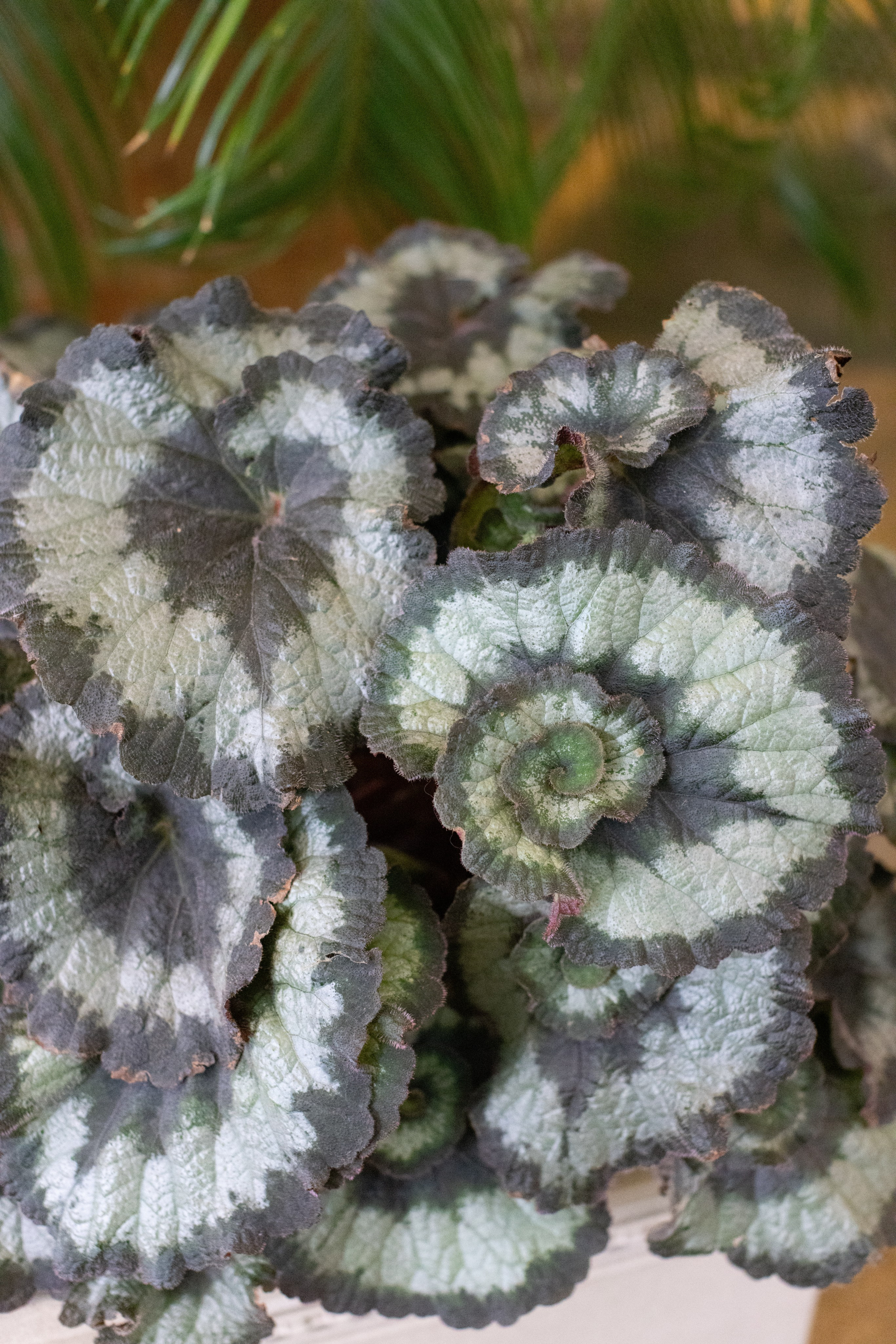 Фото Москвы. Студия Максима Белослюдцева