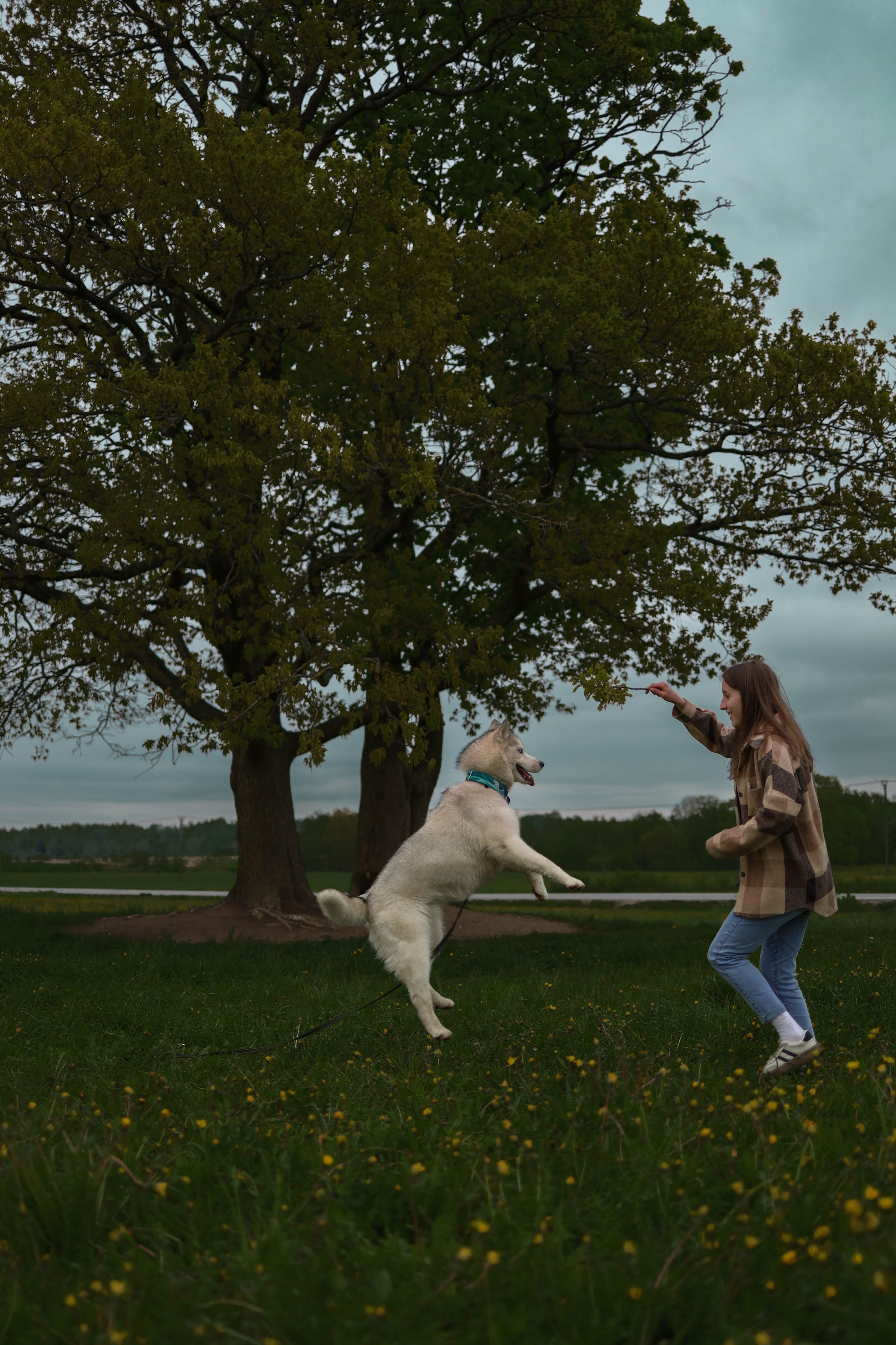 Шанти и Катя. Фотограф-анималист в Санкт-Петеребурге Титова Алиса