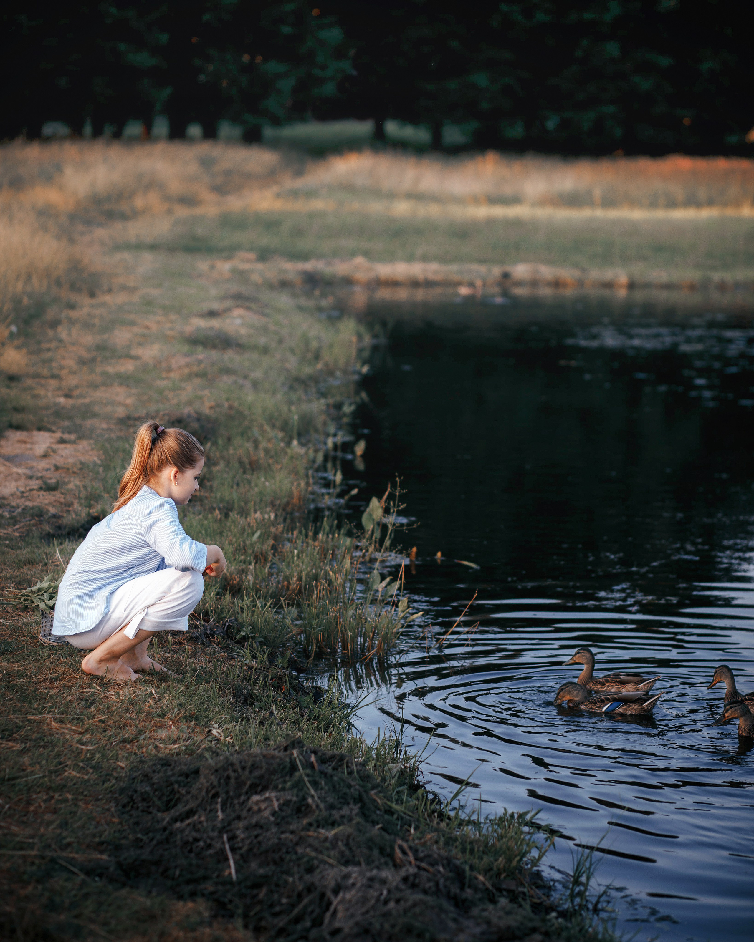 Фотопрогулки. Главная