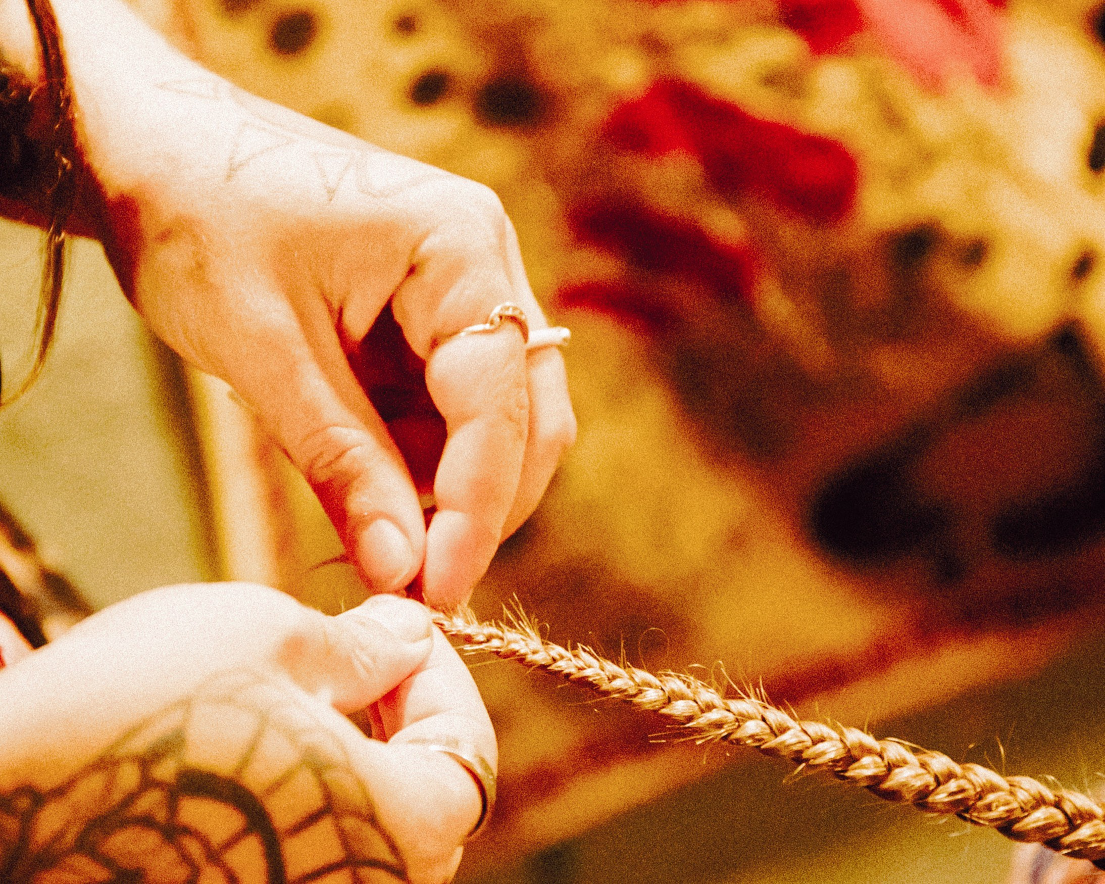 Луми. Портретный фотограф Ванинен Анастасия. Санкт-Петербург