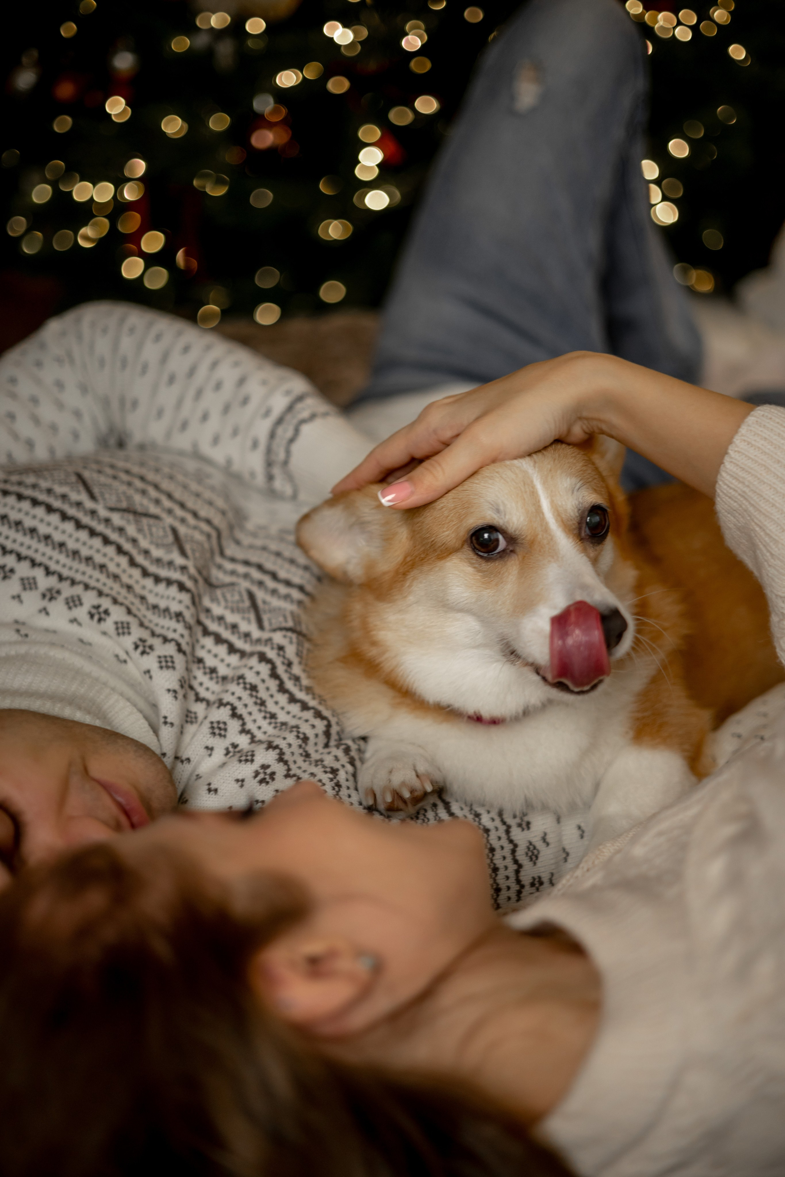 Новогодний хвостик. Свадебный и семейный фотограф в Севастополе и в Крыму Анастасия Корчак