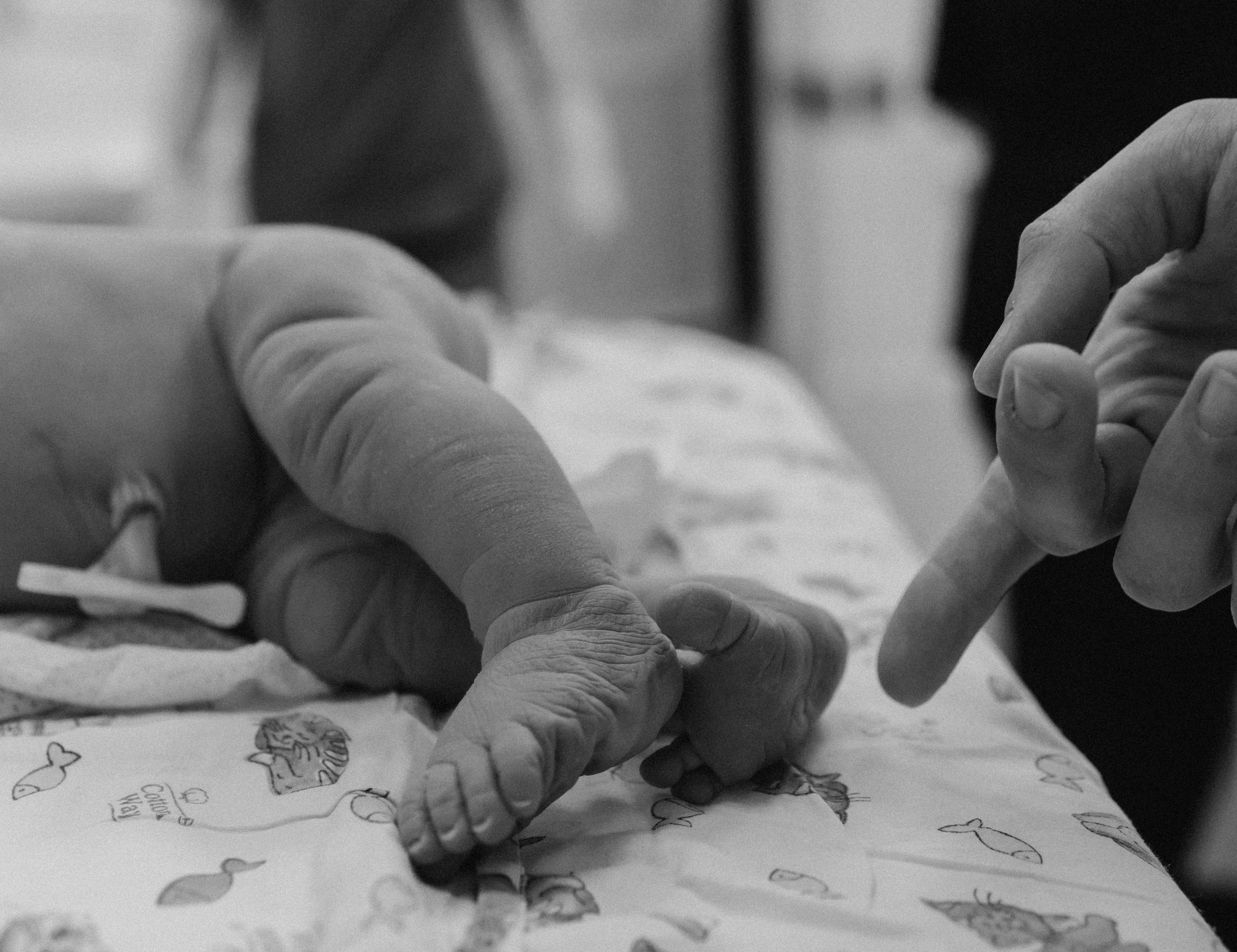 Каролина. Семейный фотограф Нижневартовск Тюмень Ефимова Ирина