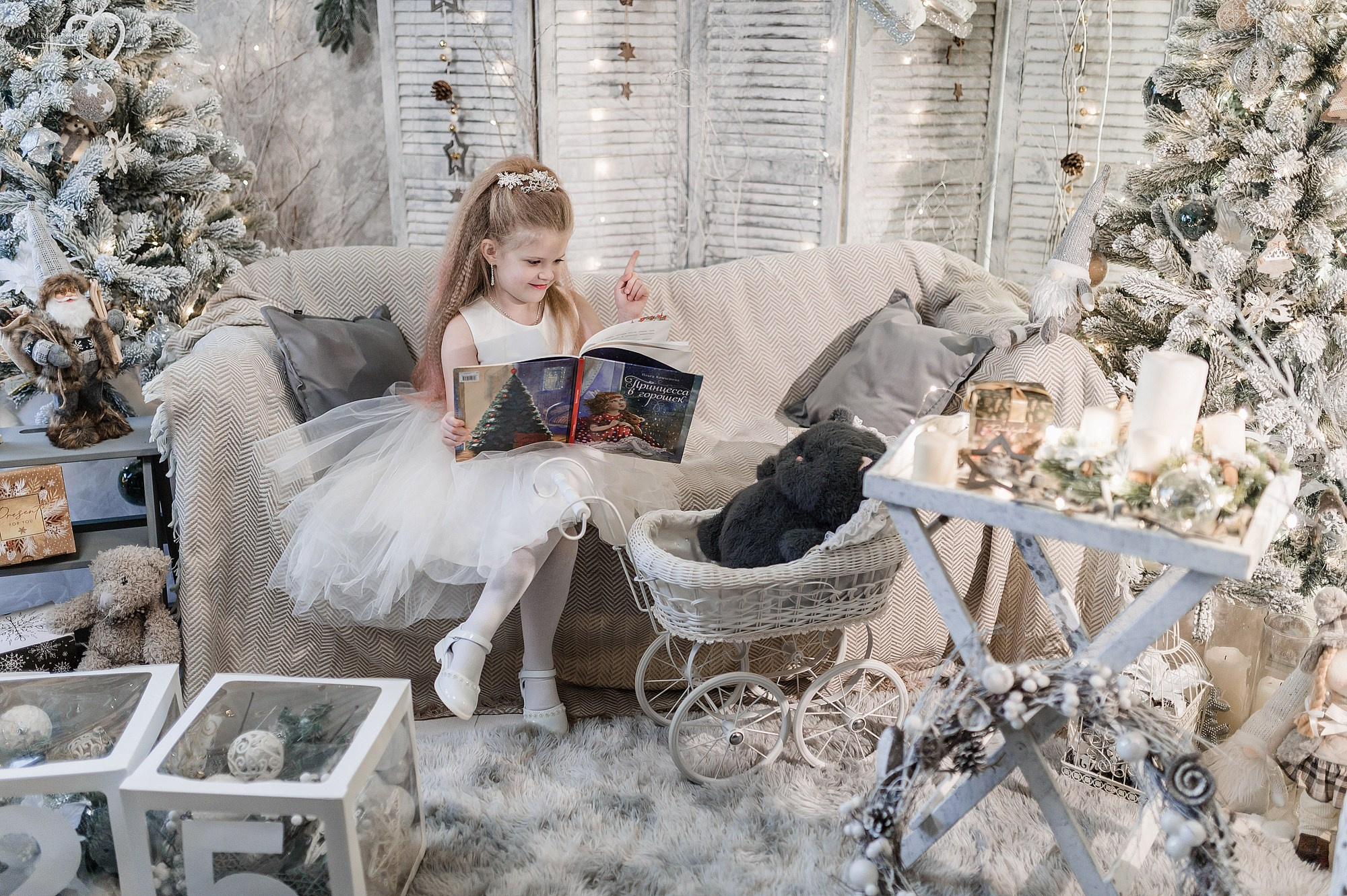 Новогодняя фотостудия в Дубне Кимрах Талдоме. Свадебный фотограф в Дубне Алексей Фонарёв