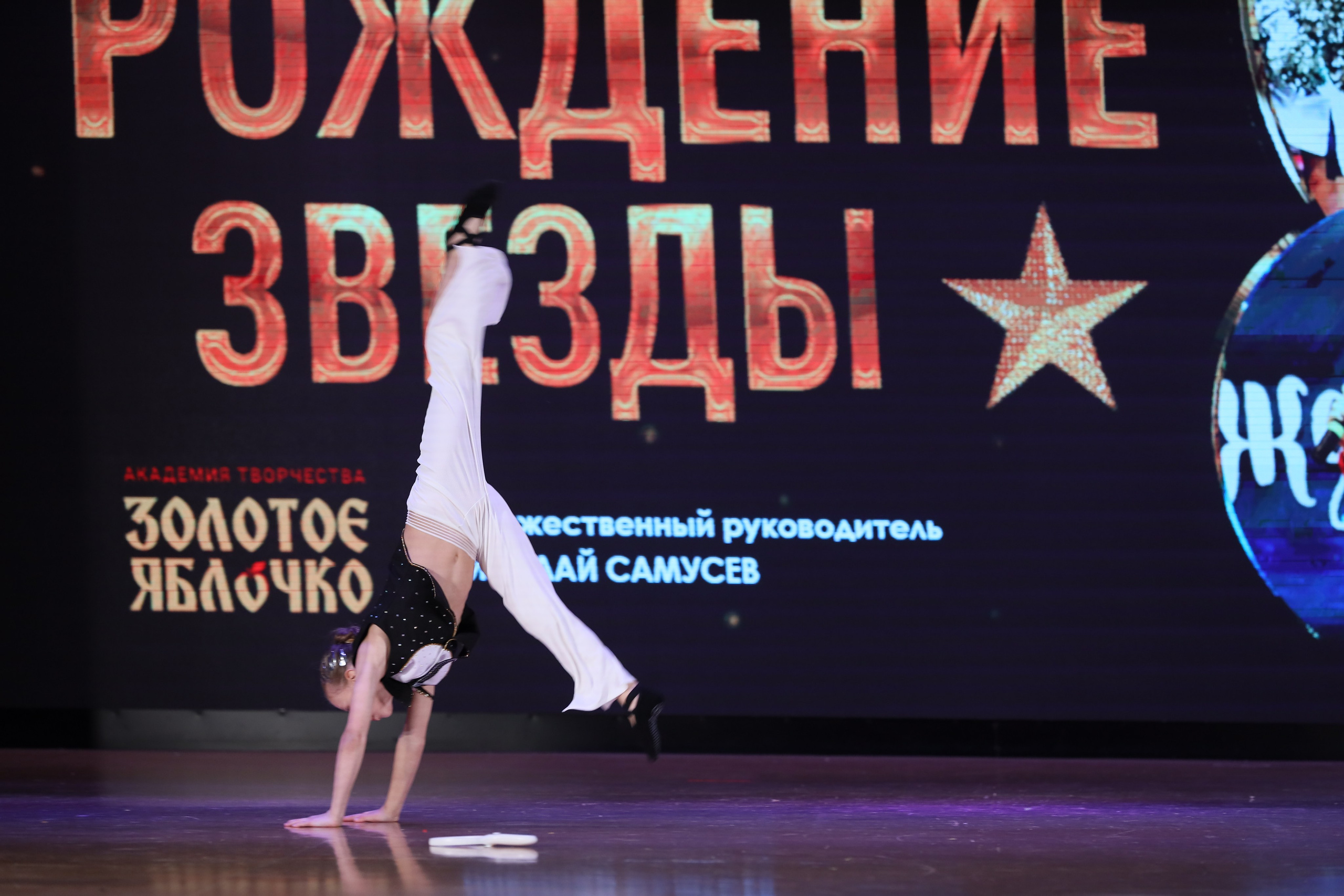 4 ноября, блок 1, видео, номера 49-58, г. Краснодар. Золотое яблочко