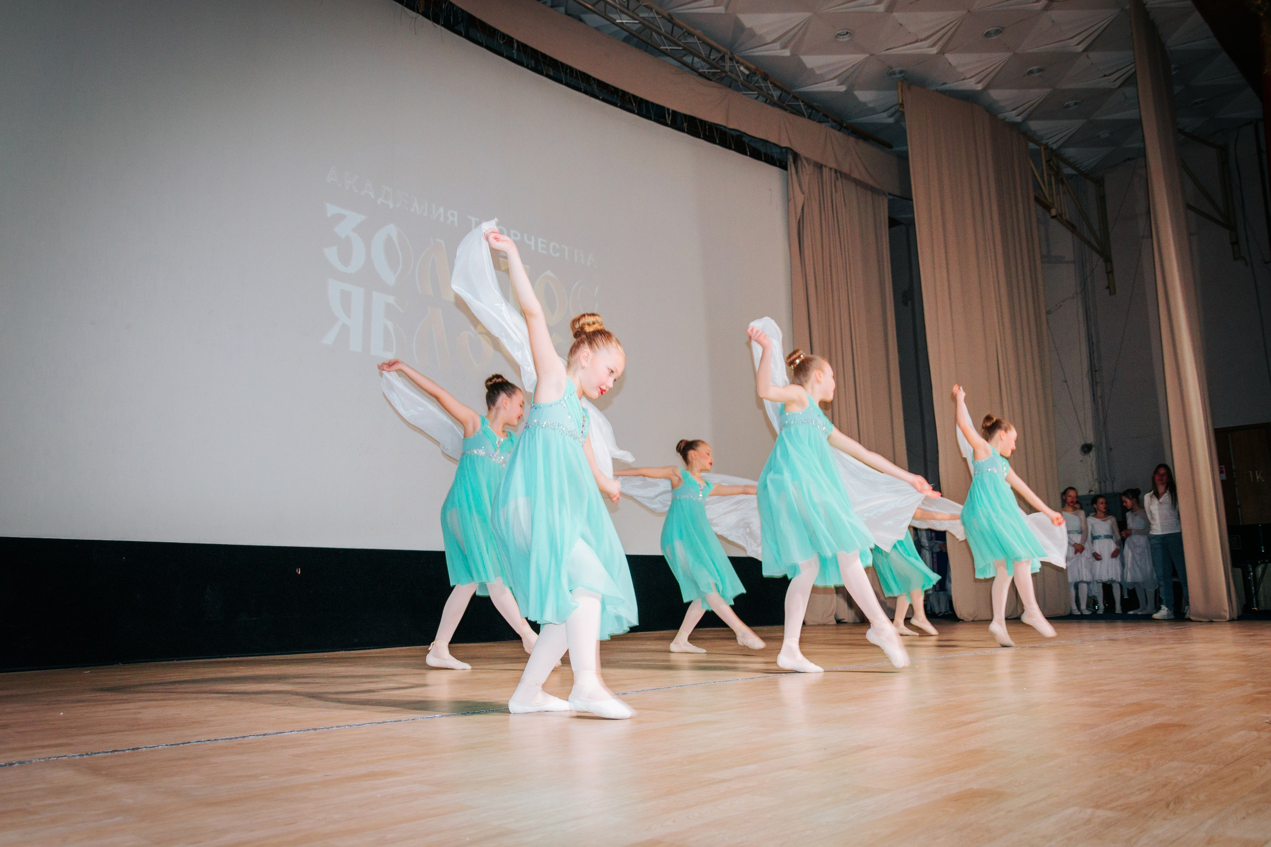 16 марта, г. Суздаль. Золотое яблочко