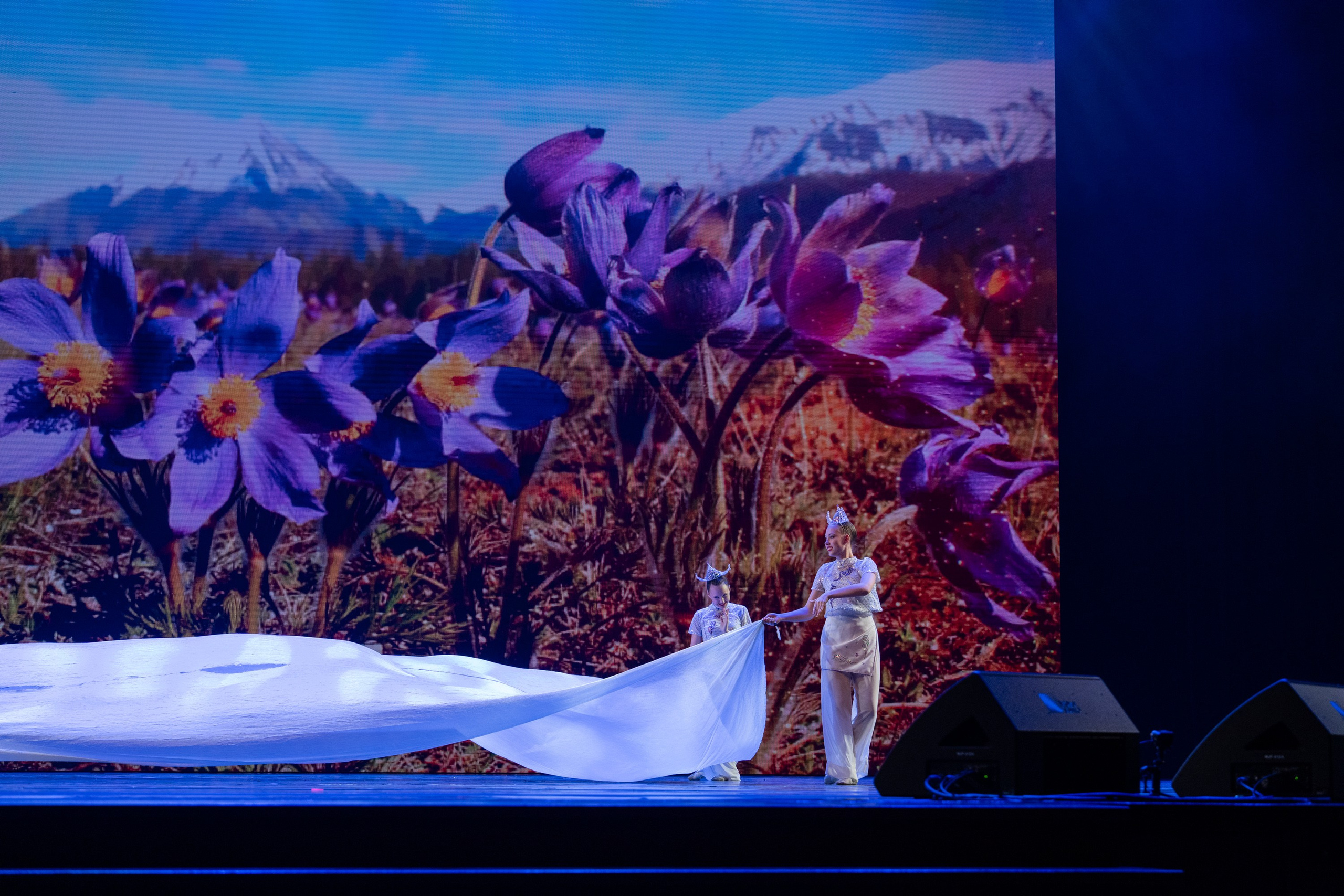 18 мая, г. Москва, Кремль, Концерт. Золотое яблочко