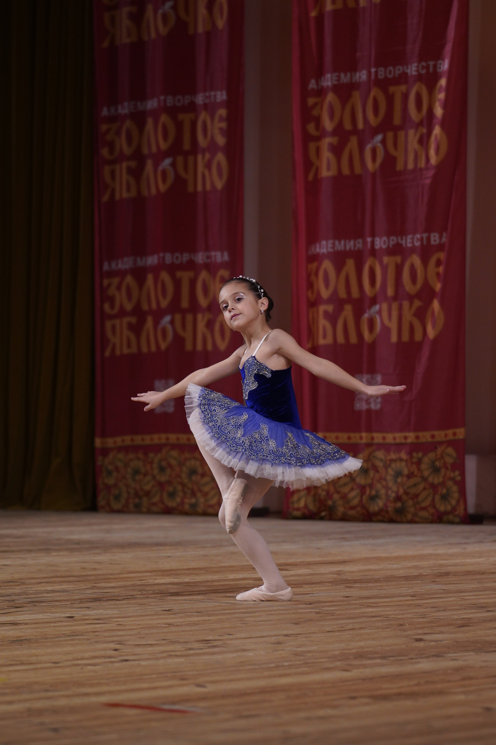 24 ноября, г. Санкт-Петербург. Золотое яблочко