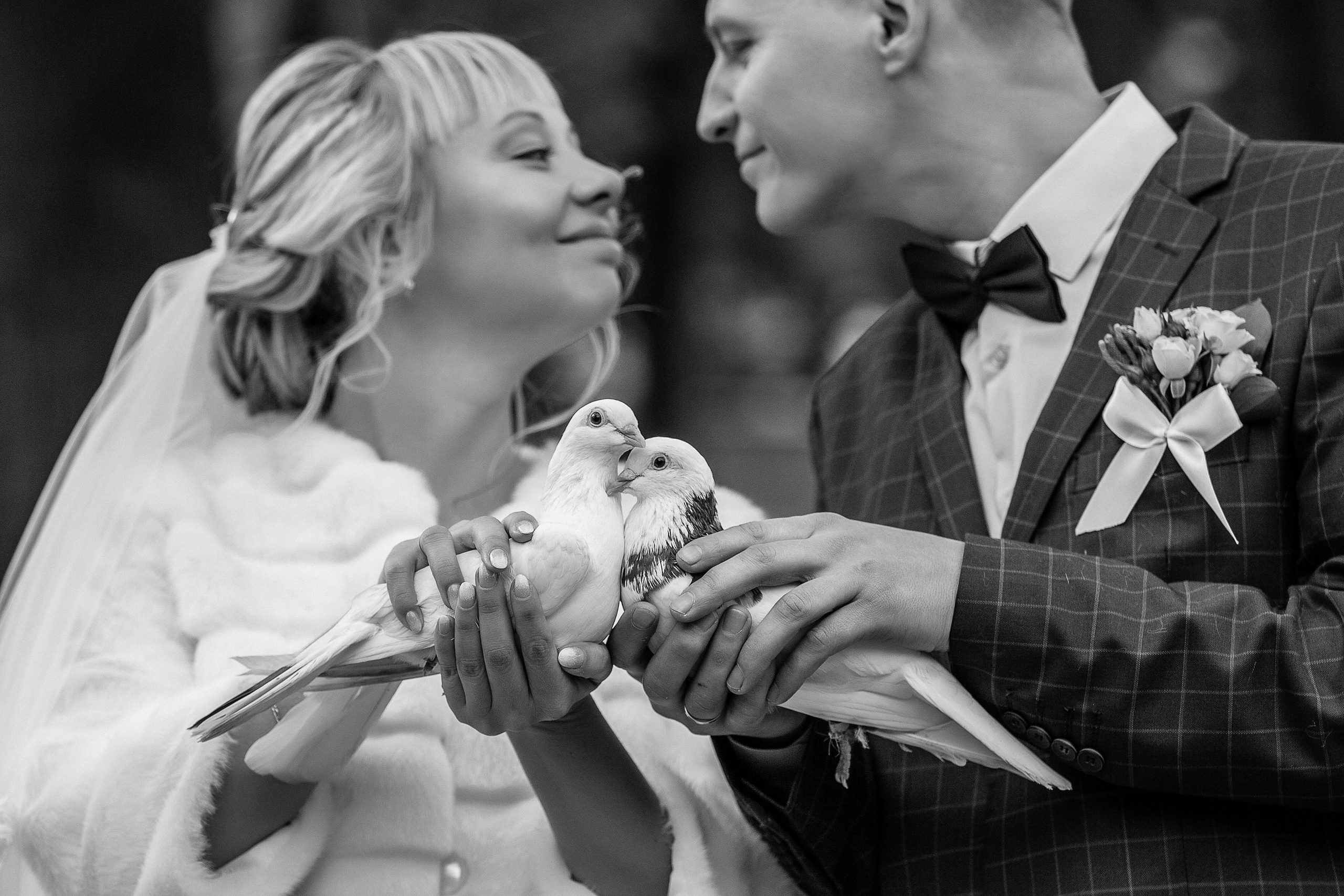 Алёна Николай. Свадебный и семейный фотограф в Москве и Подмосковье Лариса Козлова