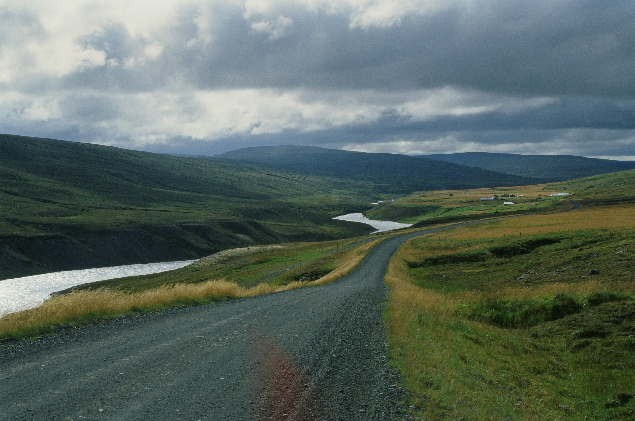 Vor i vaglaskogi // iceland, austurleið. EVER EXPOSED