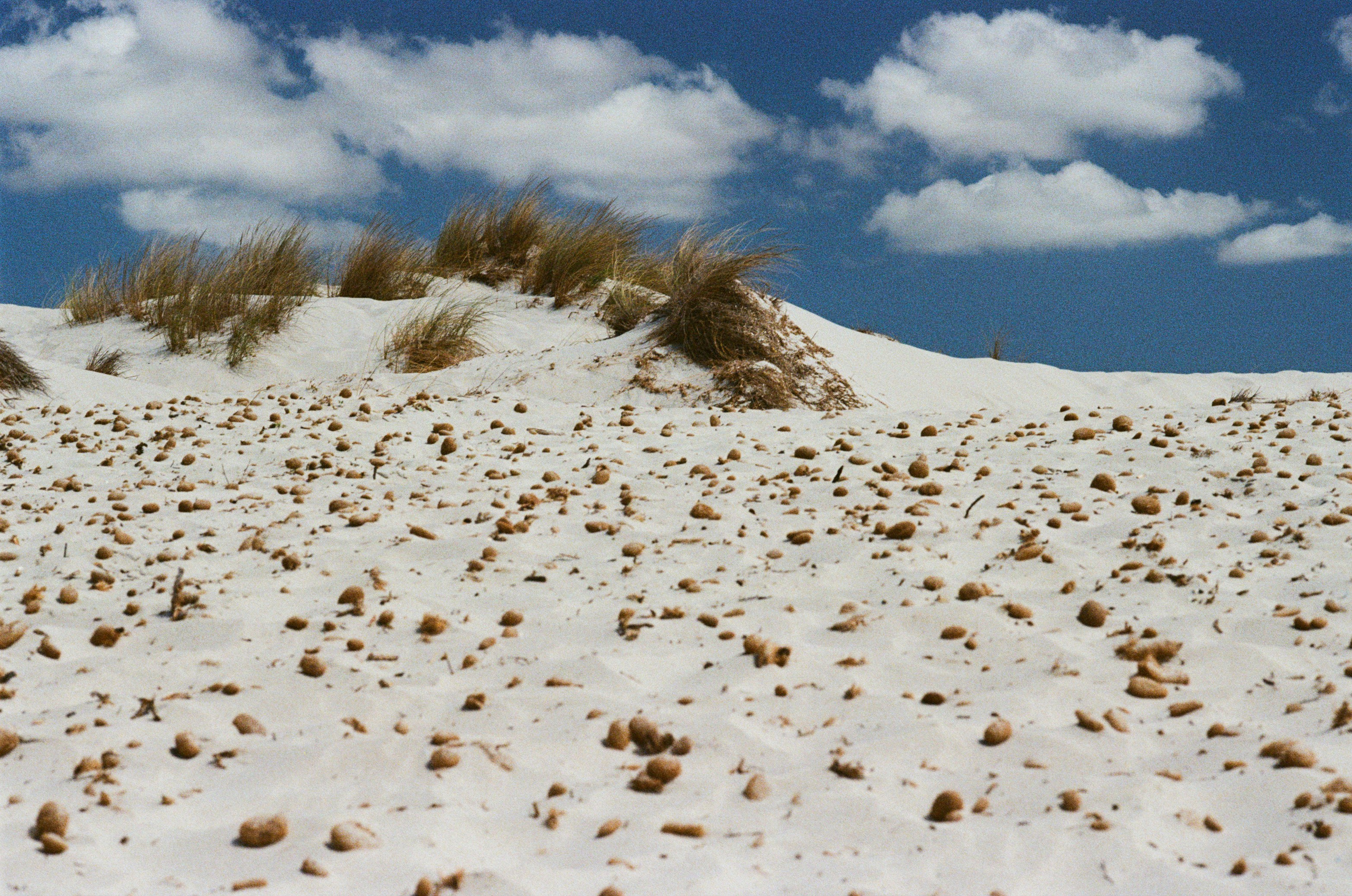 Coraline // sardinia, is arenas biancas. EVER EXPOSED