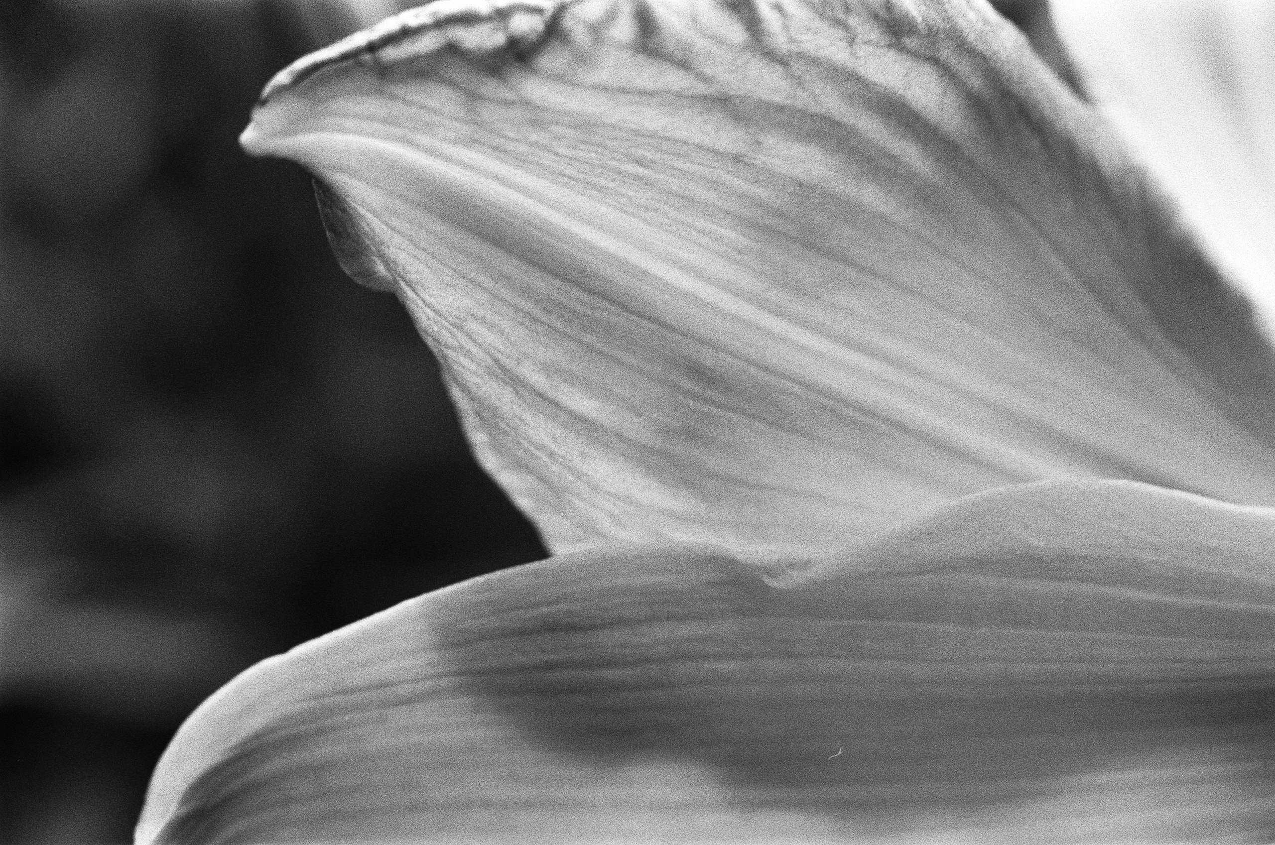 Oblomki chuvstv // ukraine, crimea VII. EVER EXPOSED