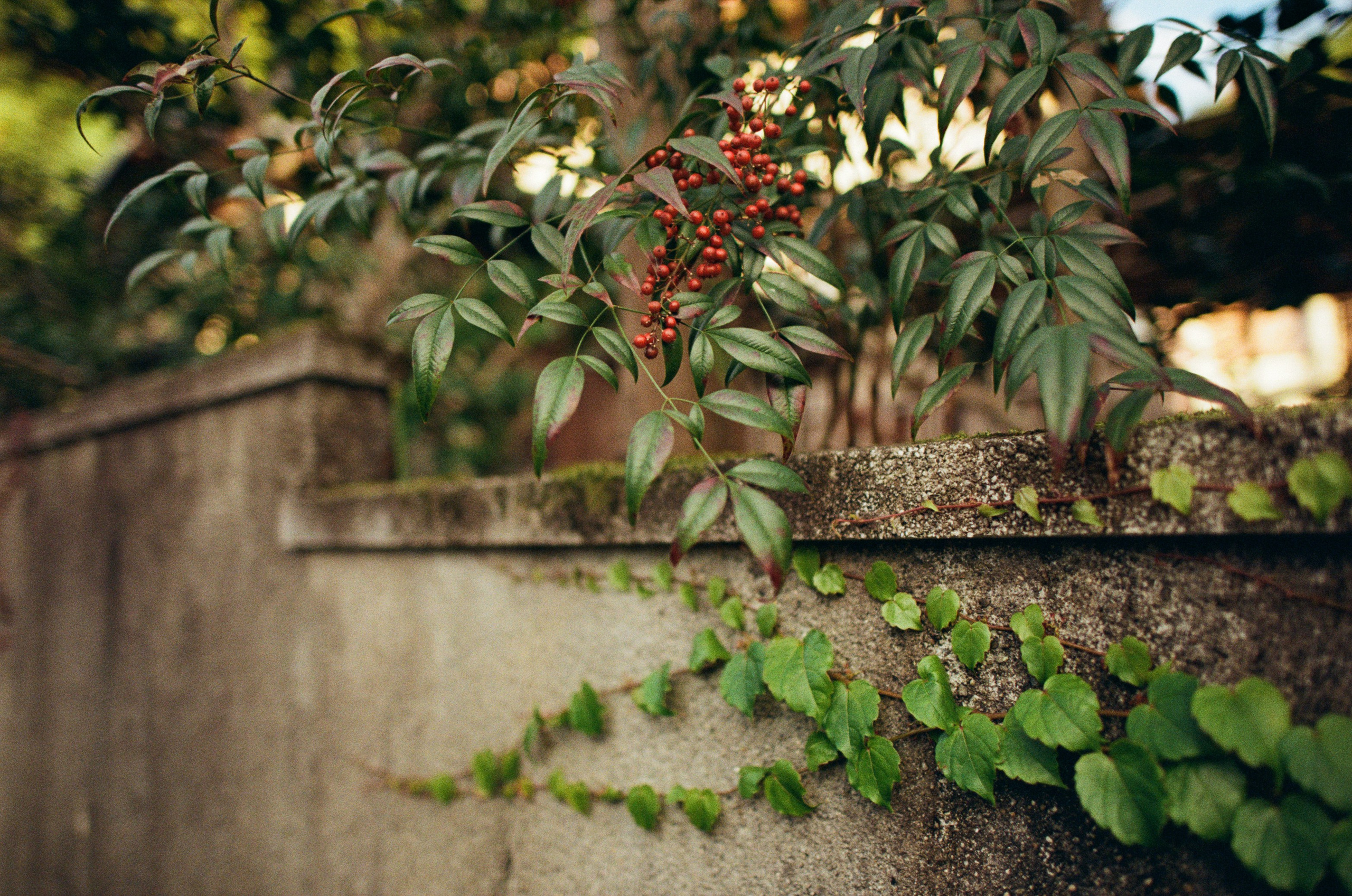 Out of noise // japan, kyoto IV. EVER EXPOSED