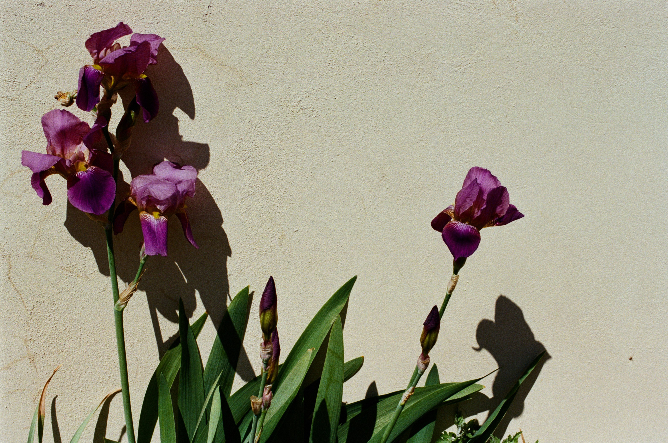 Press enter to exit // ukraine, crimea IX. EVER EXPOSED