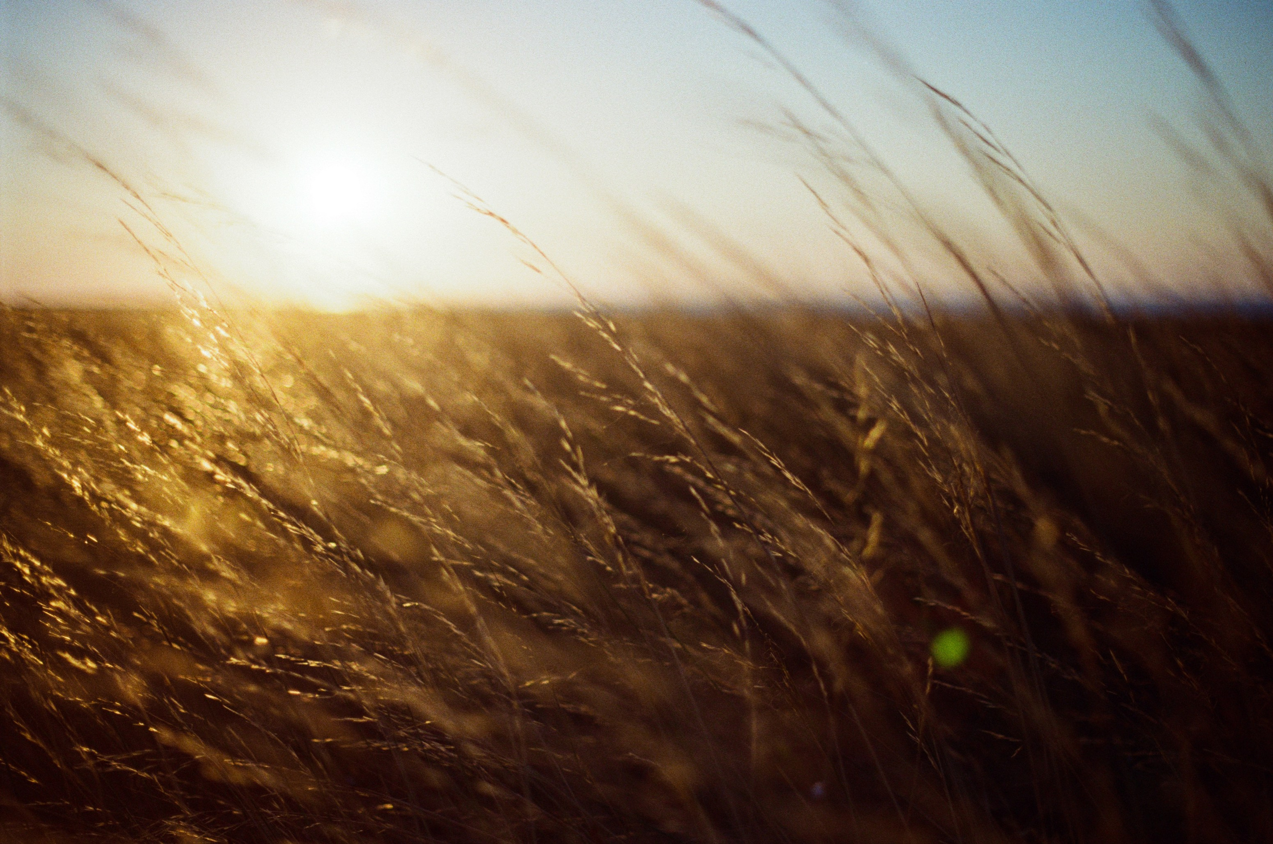 Your guardian angel // ukraine, crimea. EVER EXPOSED