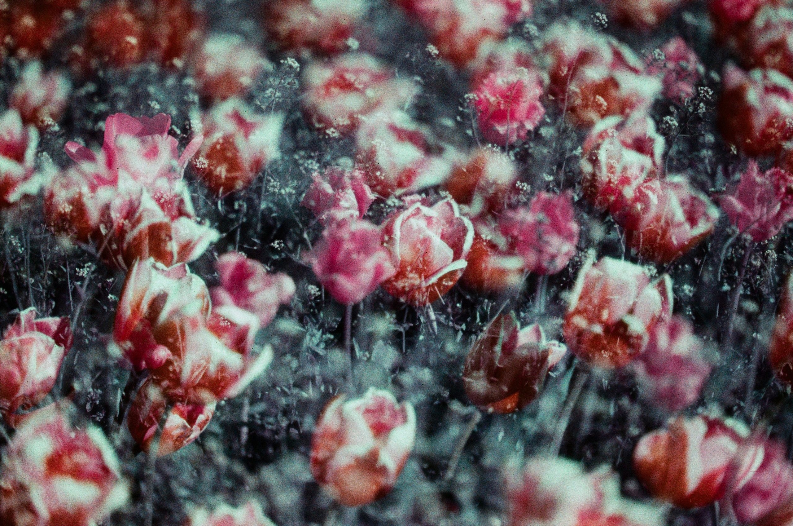 Press enter to exit // ukraine, crimea X. EVER EXPOSED