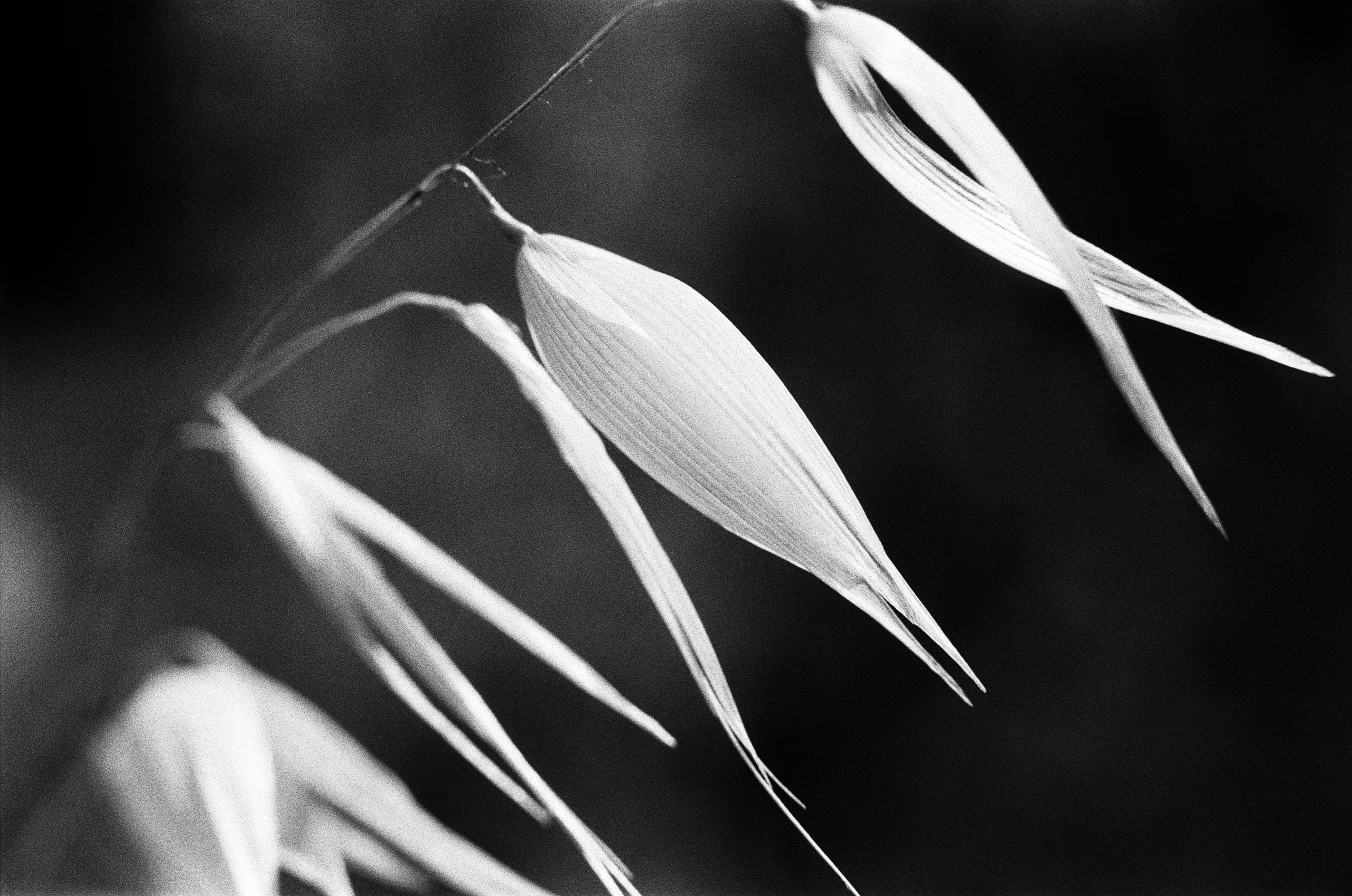 Oblomki chuvstv // ukraine, crimea VII. EVER EXPOSED