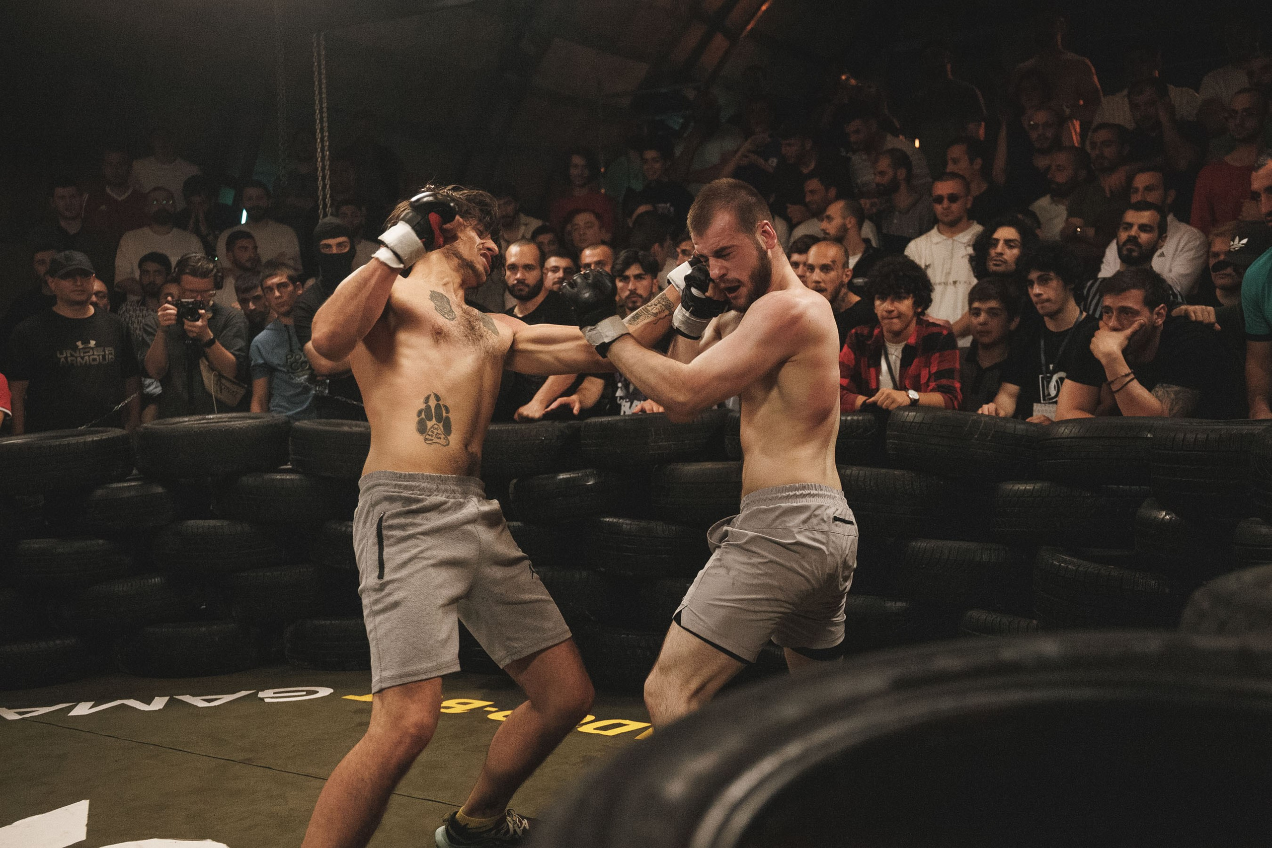 Fights // Social. Bivol images