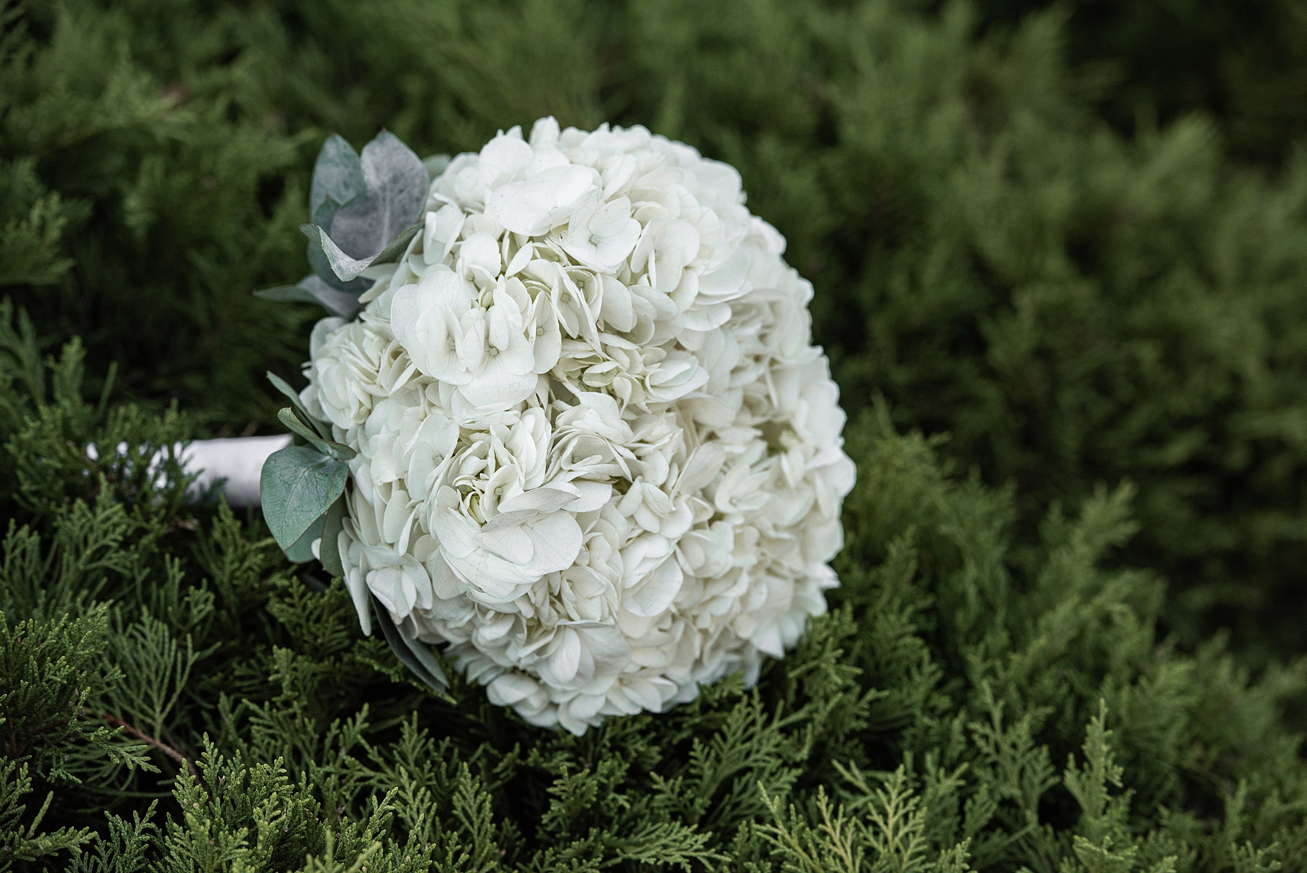 Екатерина и Артём. Фотограф Дарья Костина