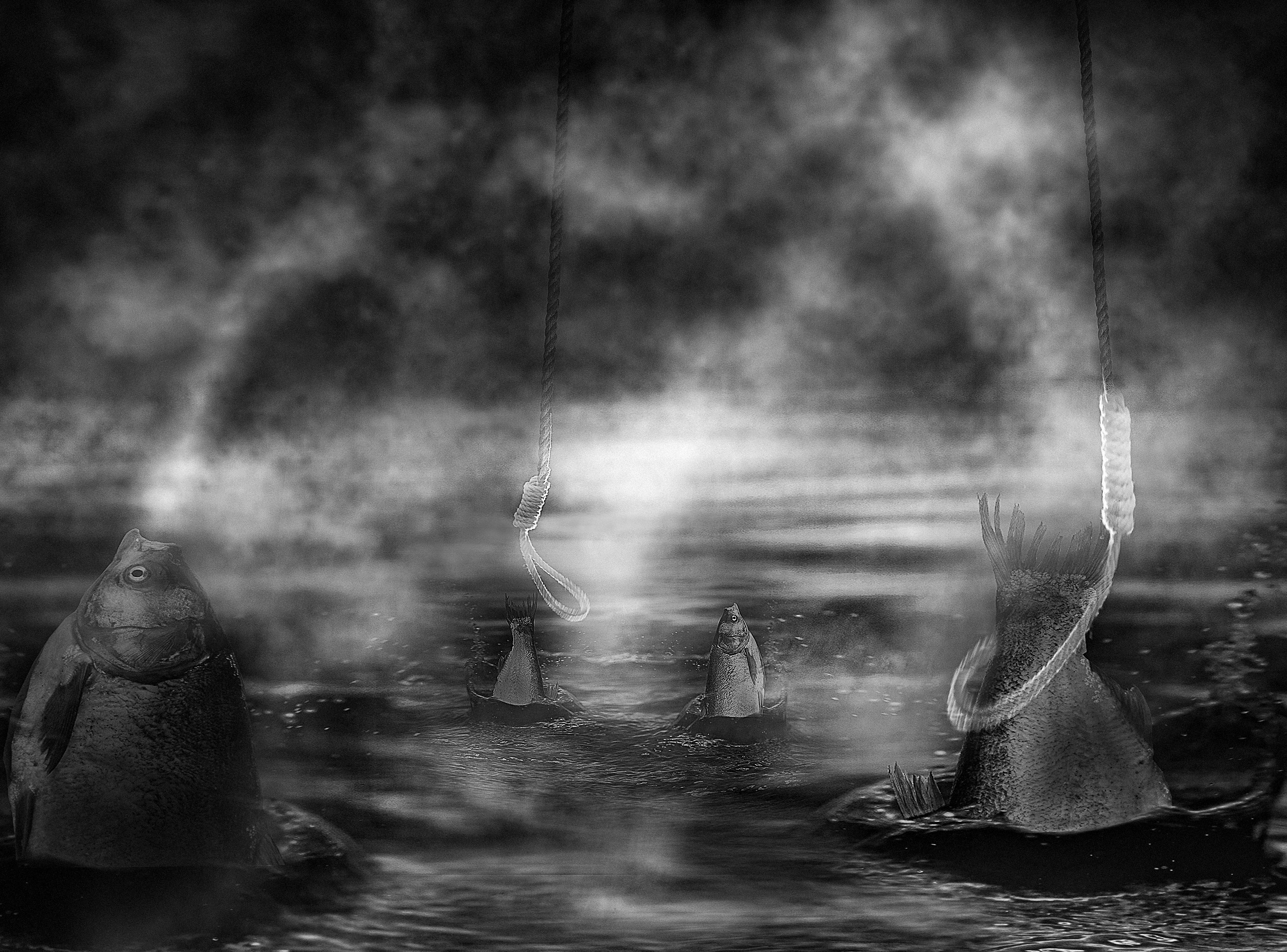 Концептуальная фотография. Медиапродюсер, фотограф в Минеральных Водах —Виктор Холодов