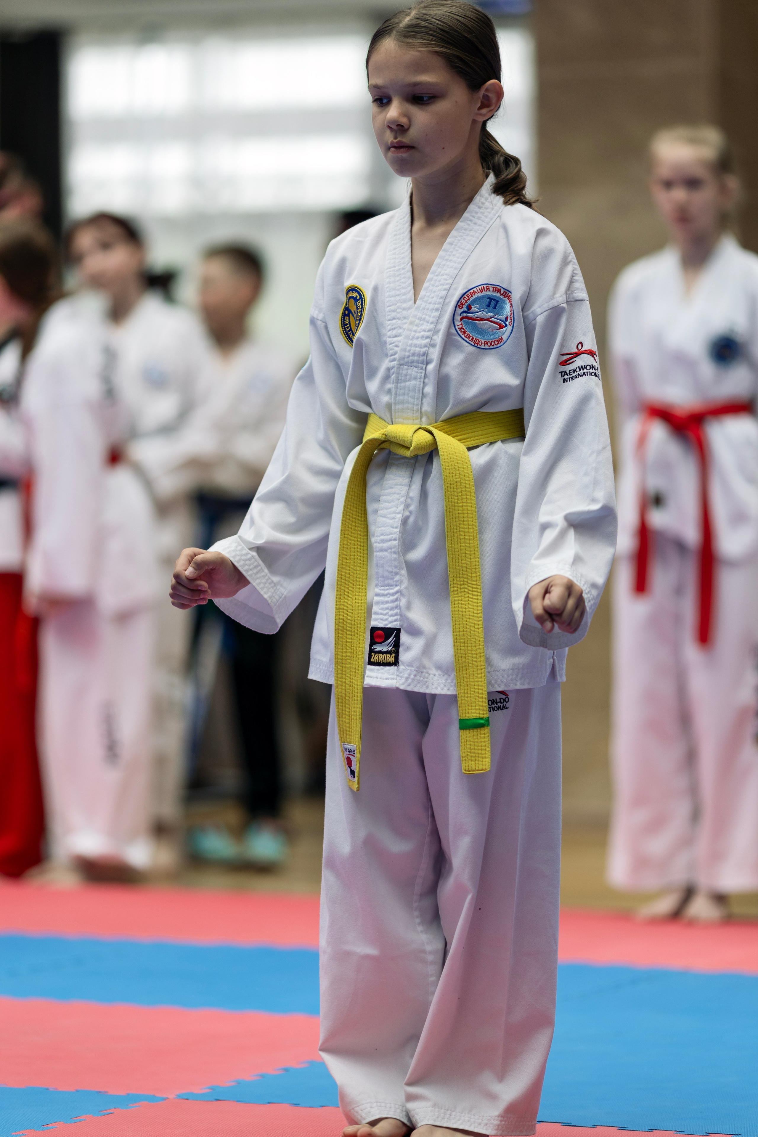 Фото турнира по Тхеквондо, проводимого в г. Железноводске. Медиапродюсер, фотограф в Минеральных Водах —Виктор Холодов