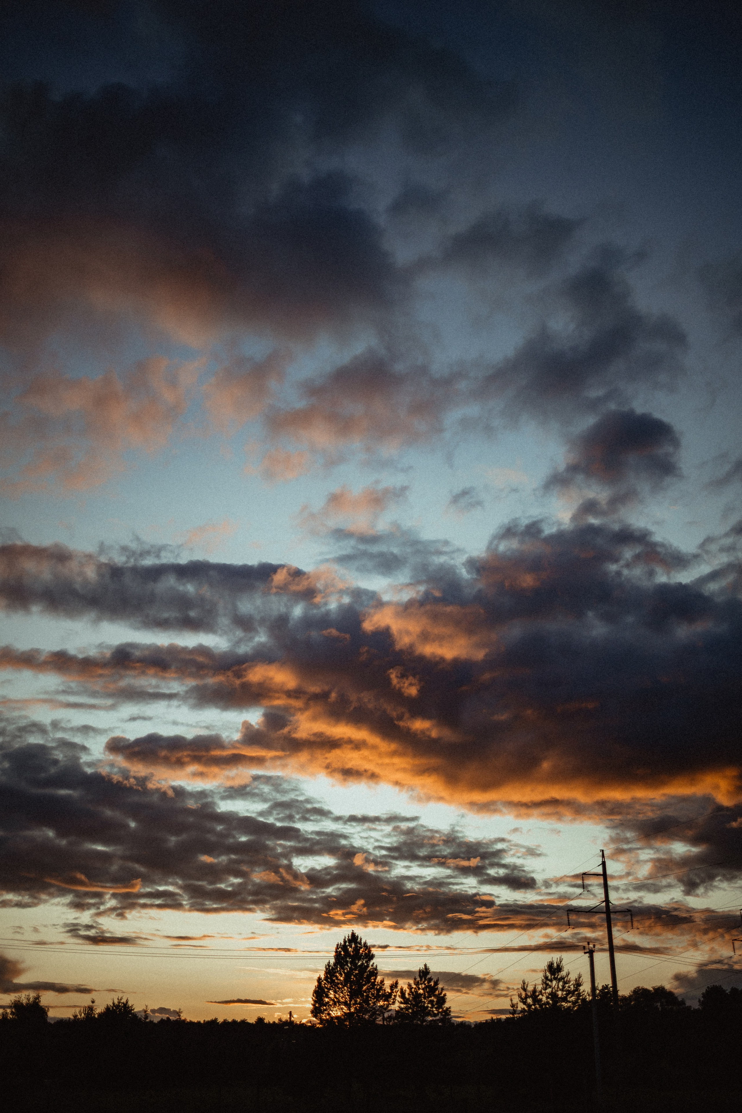 Выездной дог-тренинг от школы «Шерсть имею»