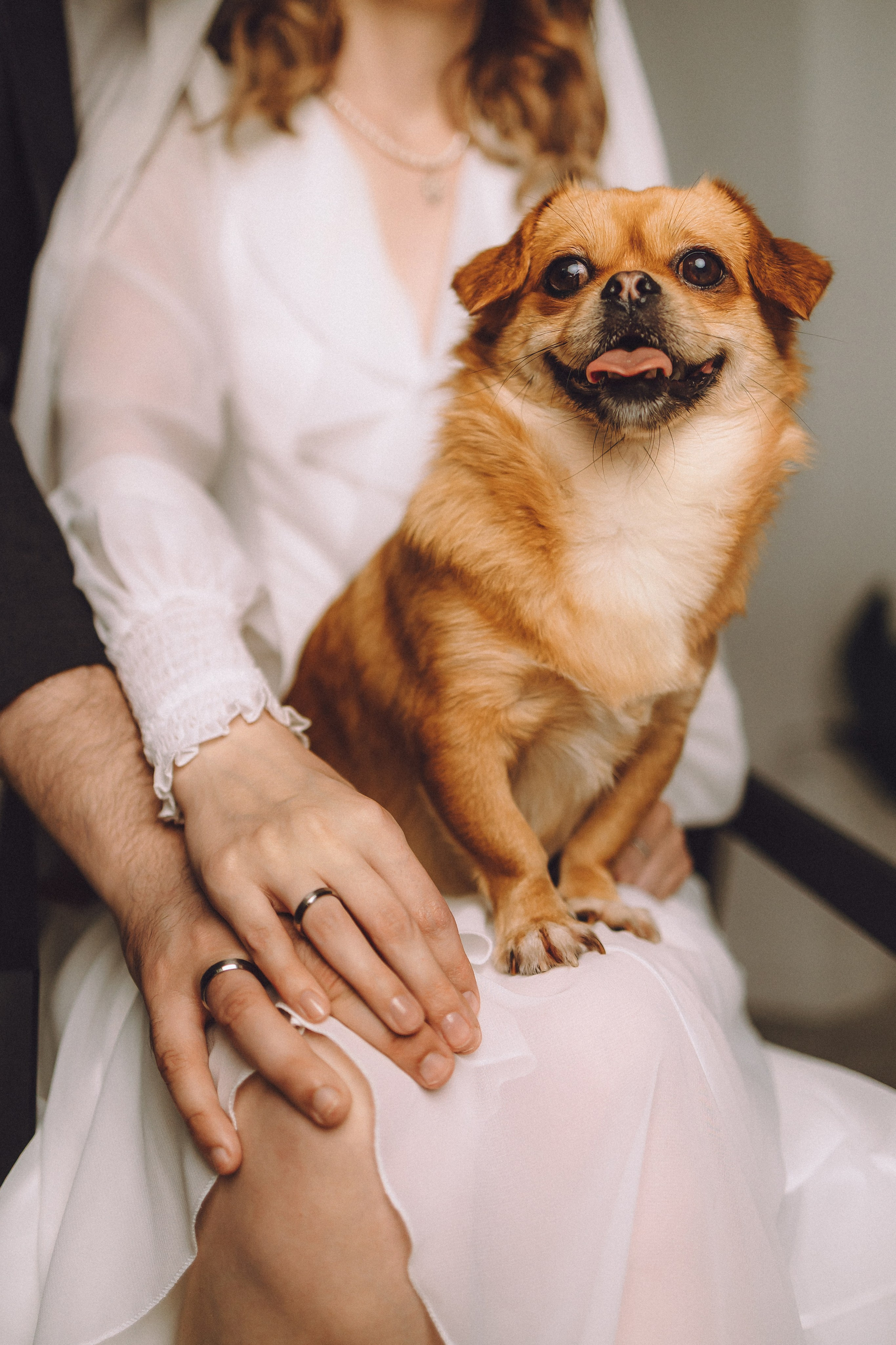 Денис, Василина, Гаврюша и Кнопка