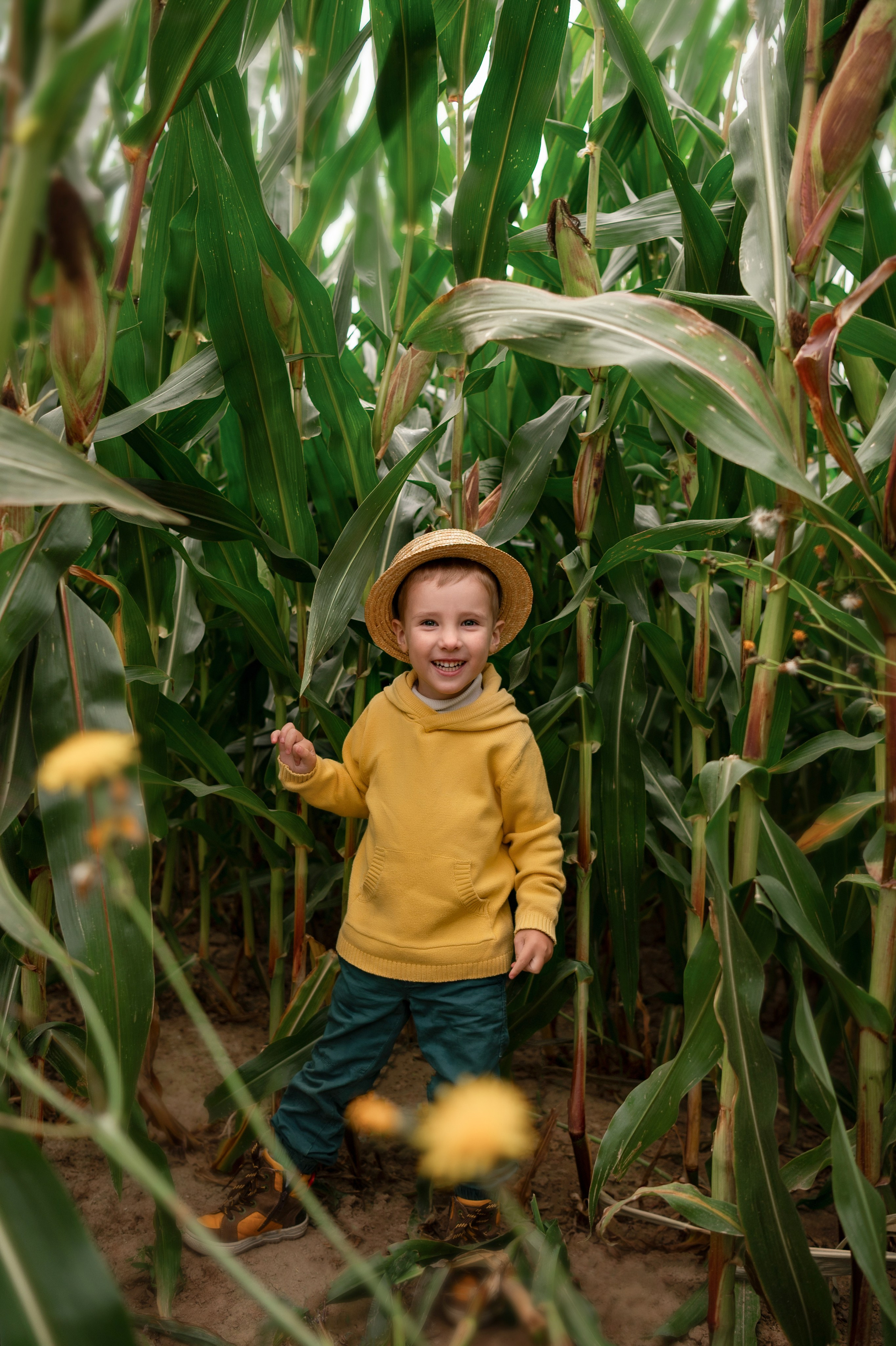 Фотосессия в кукурузе. Детский и семейный фотограф г. Москва Оксана Катаджи
